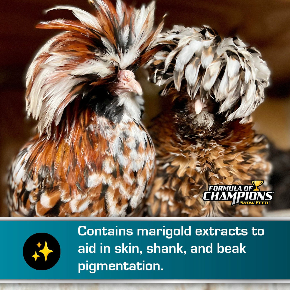Contains marigold extracts to aid in skin, shank, and beak pigmentation