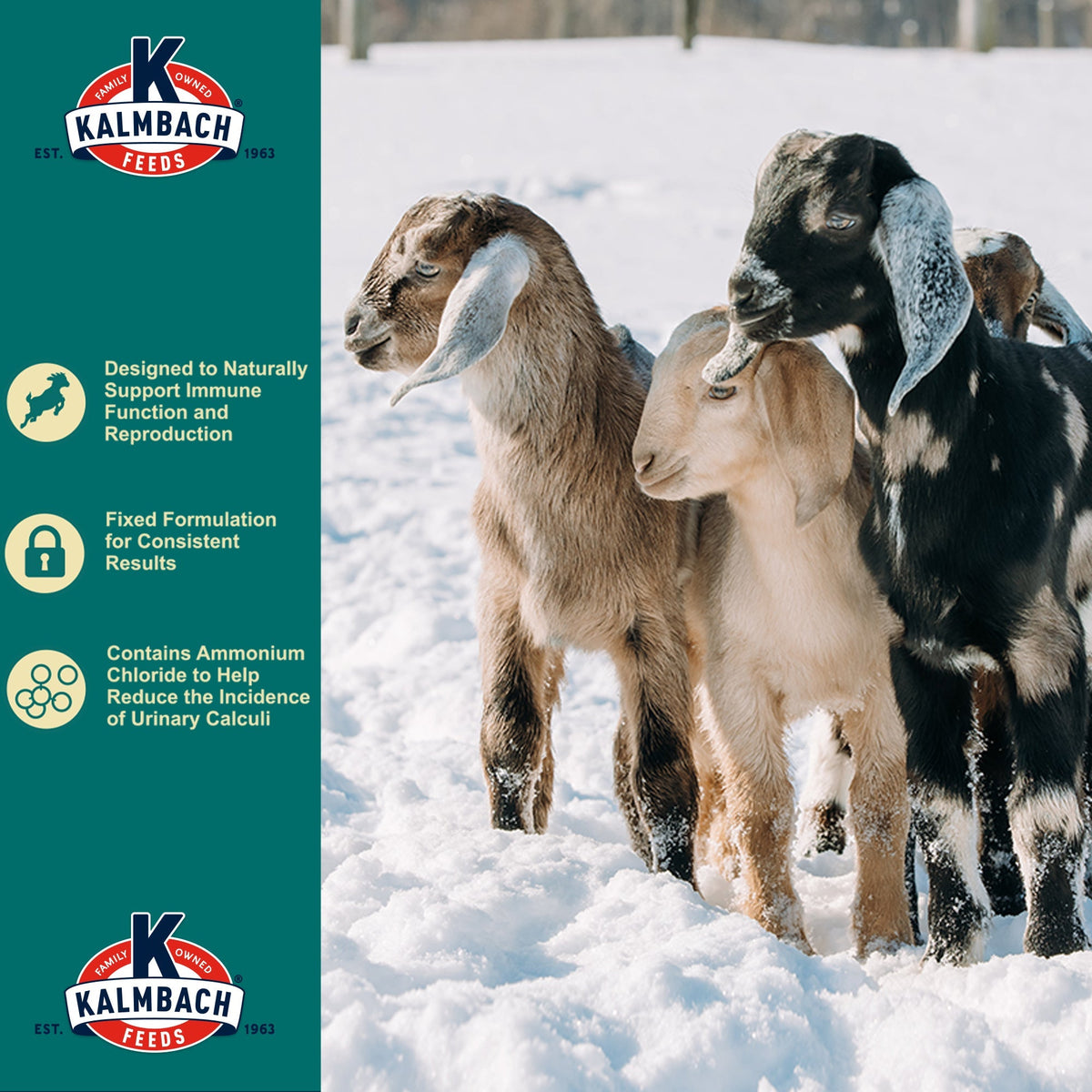Kalmbach Goat Granola benefits: immune support, fixed formulation, ammonium chloride for urinary health