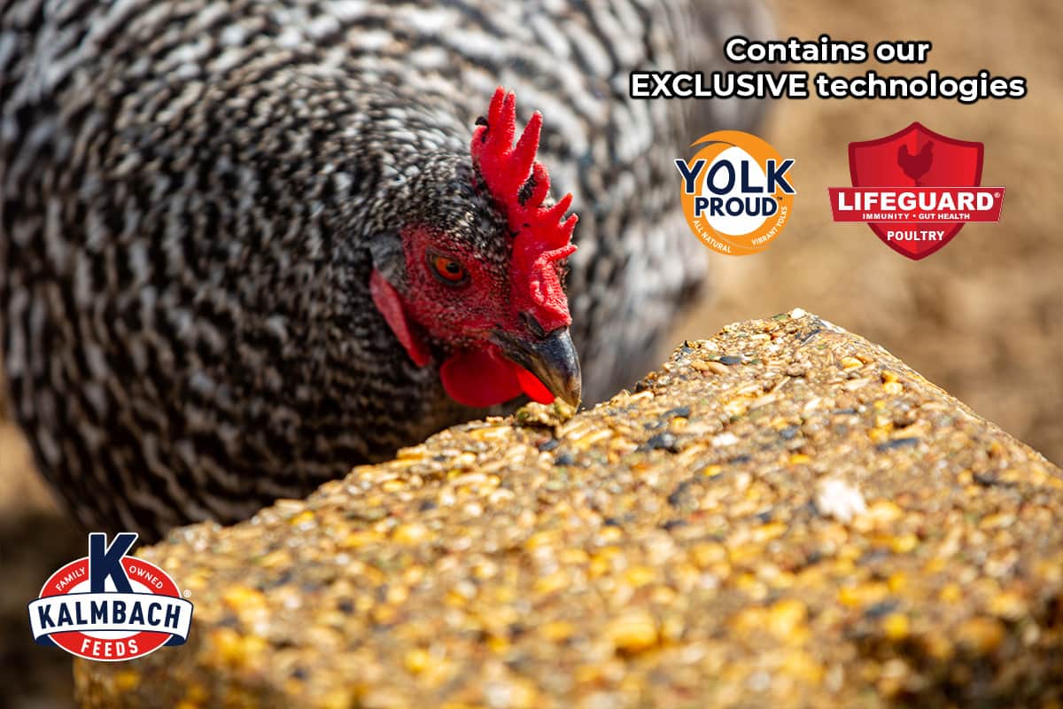 Henhouse Reserve block contains Kalmbach Yolk Proud and LifeGuard poultry technologies