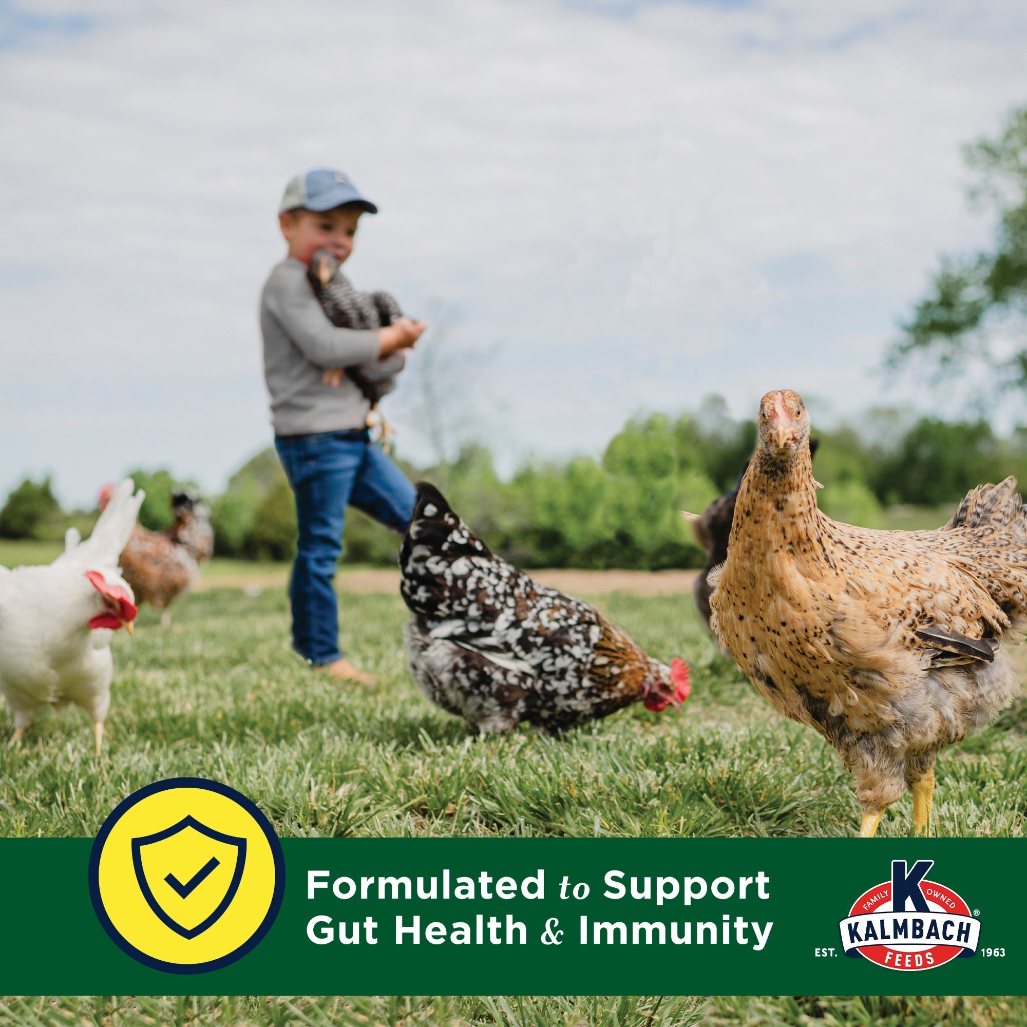 Kalmbach Henhouse Reserve with Crumbles is formulated to support gut health and immunity