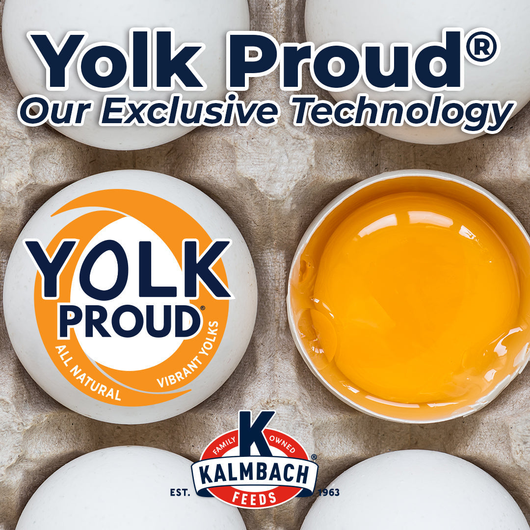 Yolk Proud exclusive technology graphic promoting vibrant egg yolks