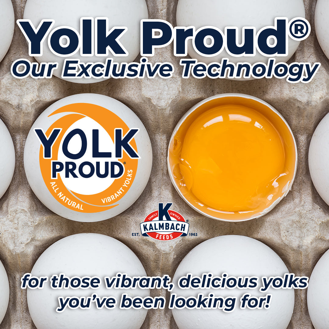 Yolk Proud technology in Henhouse Reserve promotes vibrant, delicious egg yolks