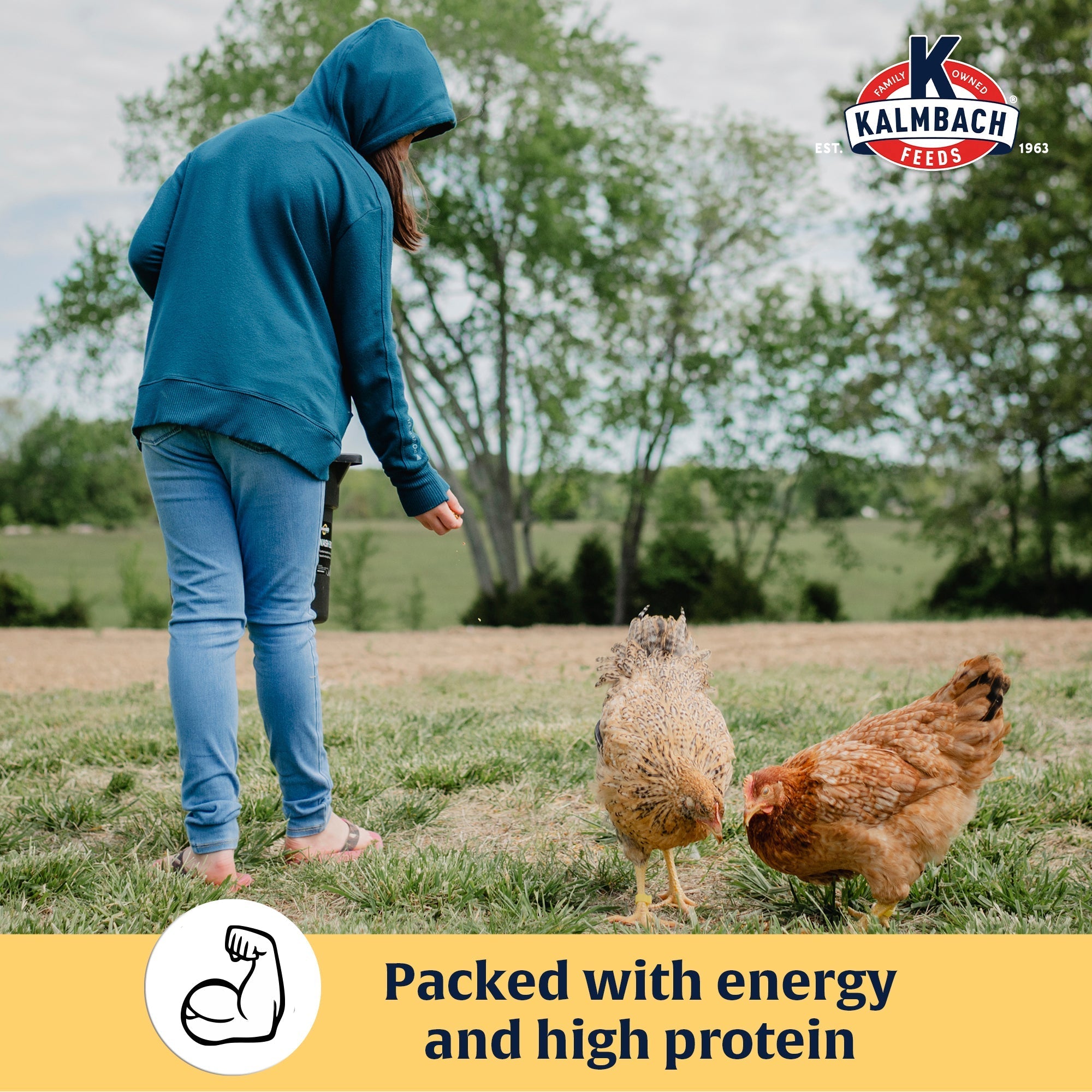 Hand-feeding chickens Love Bug mealworms packed with energy and high protein