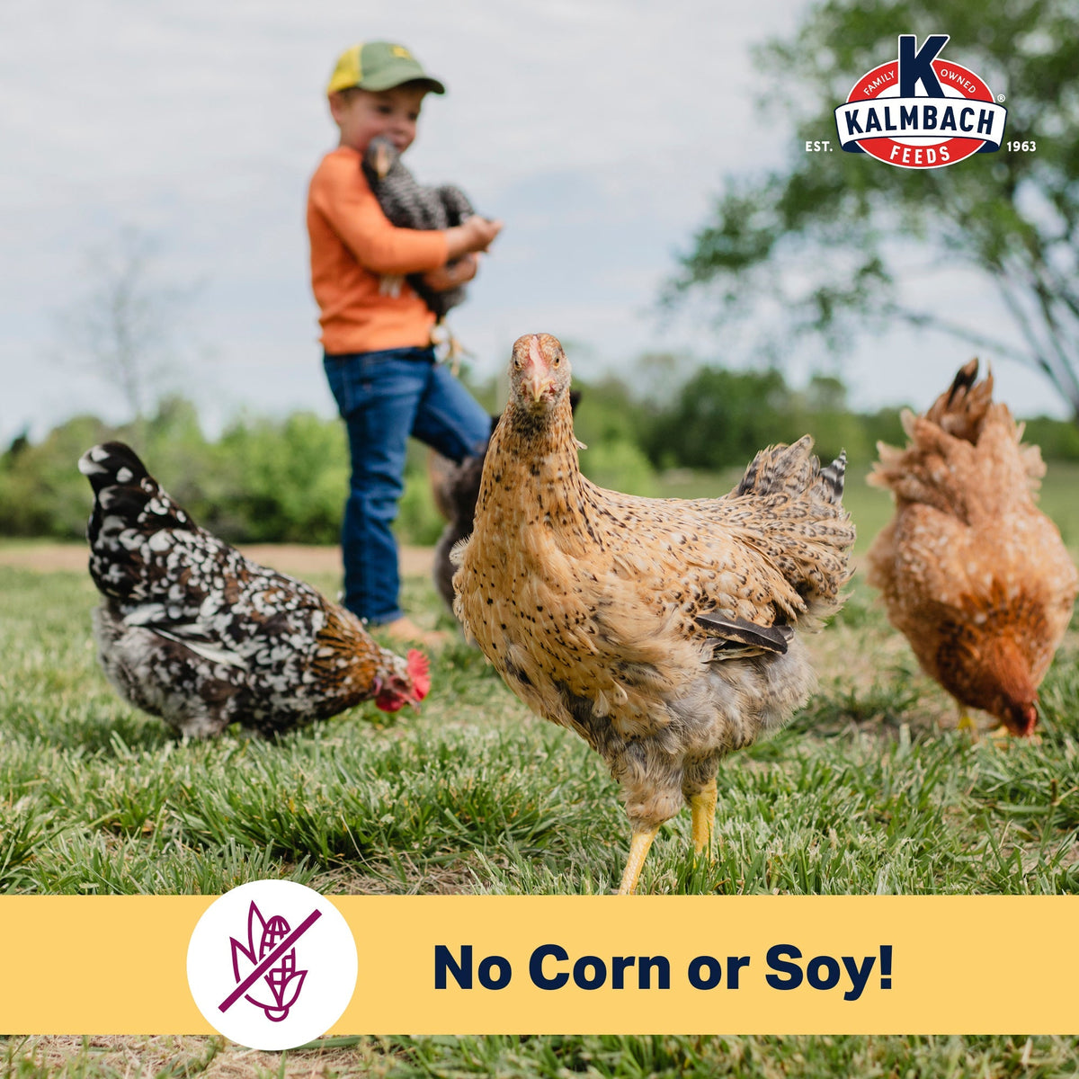 Chickens free ranging with No Corn or Soy graphic for Kalmbach Organic Henhouse Reserve