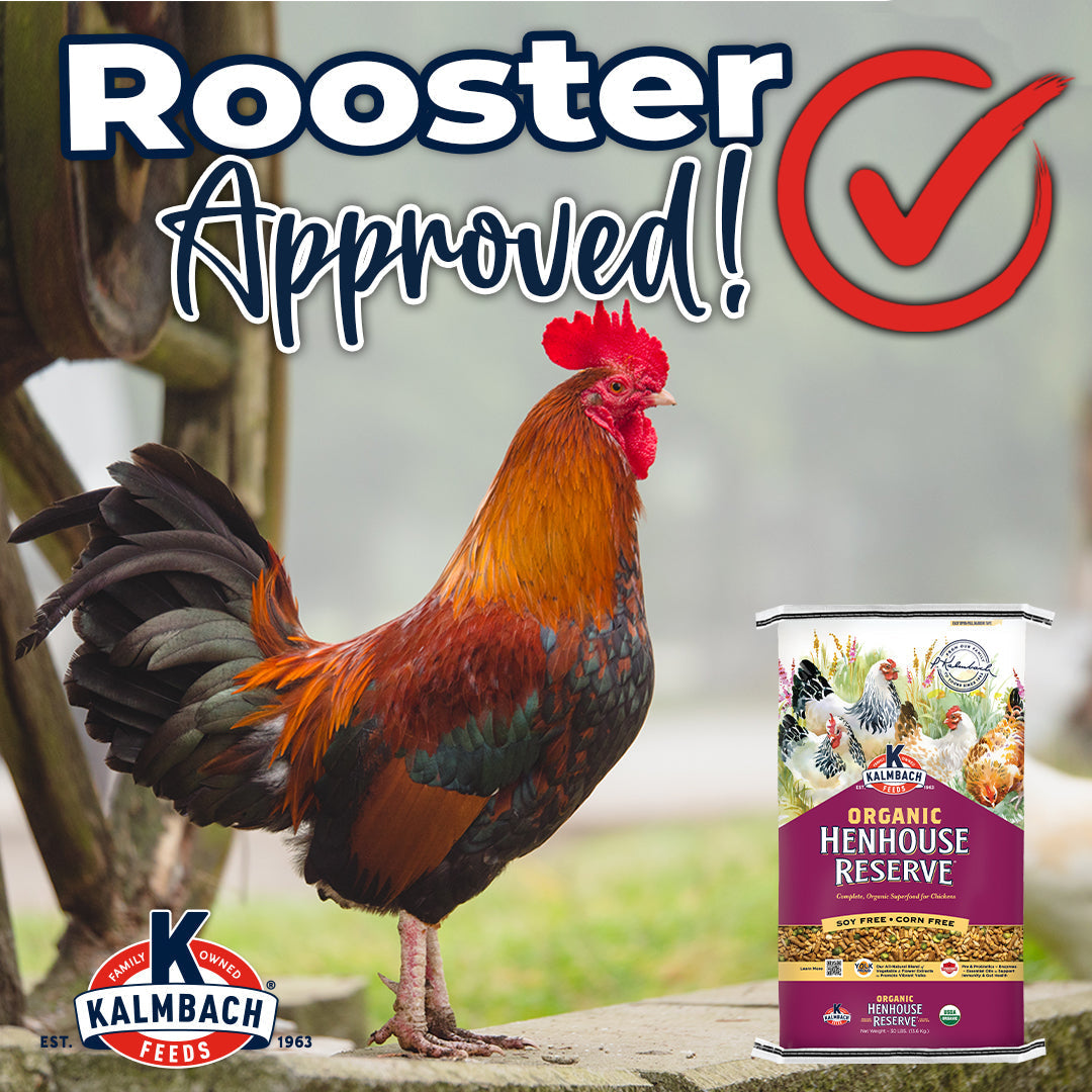 Rooster Approved graphic with Kalmbach Organic Henhouse Reserve bag