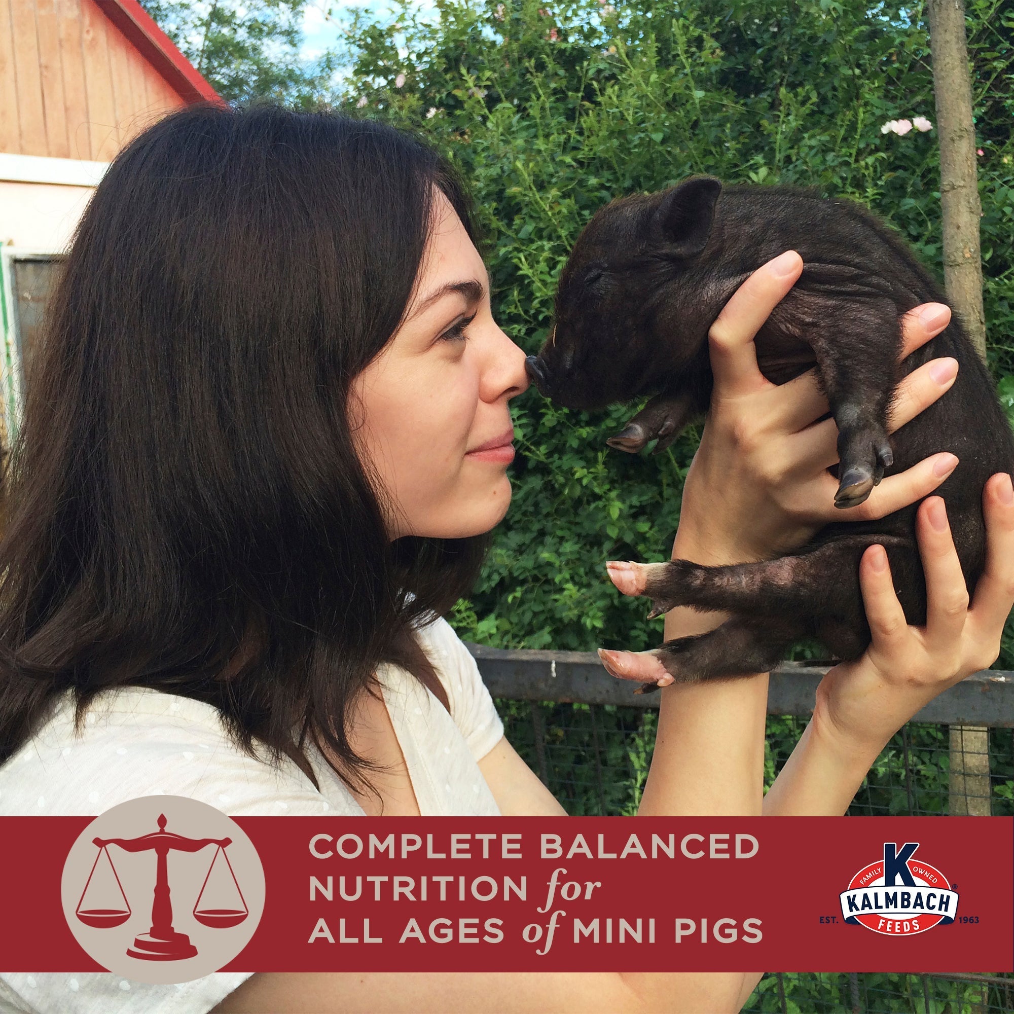 Complete balanced nutrition for all ages of mini pigs, woman holding mini piglet
