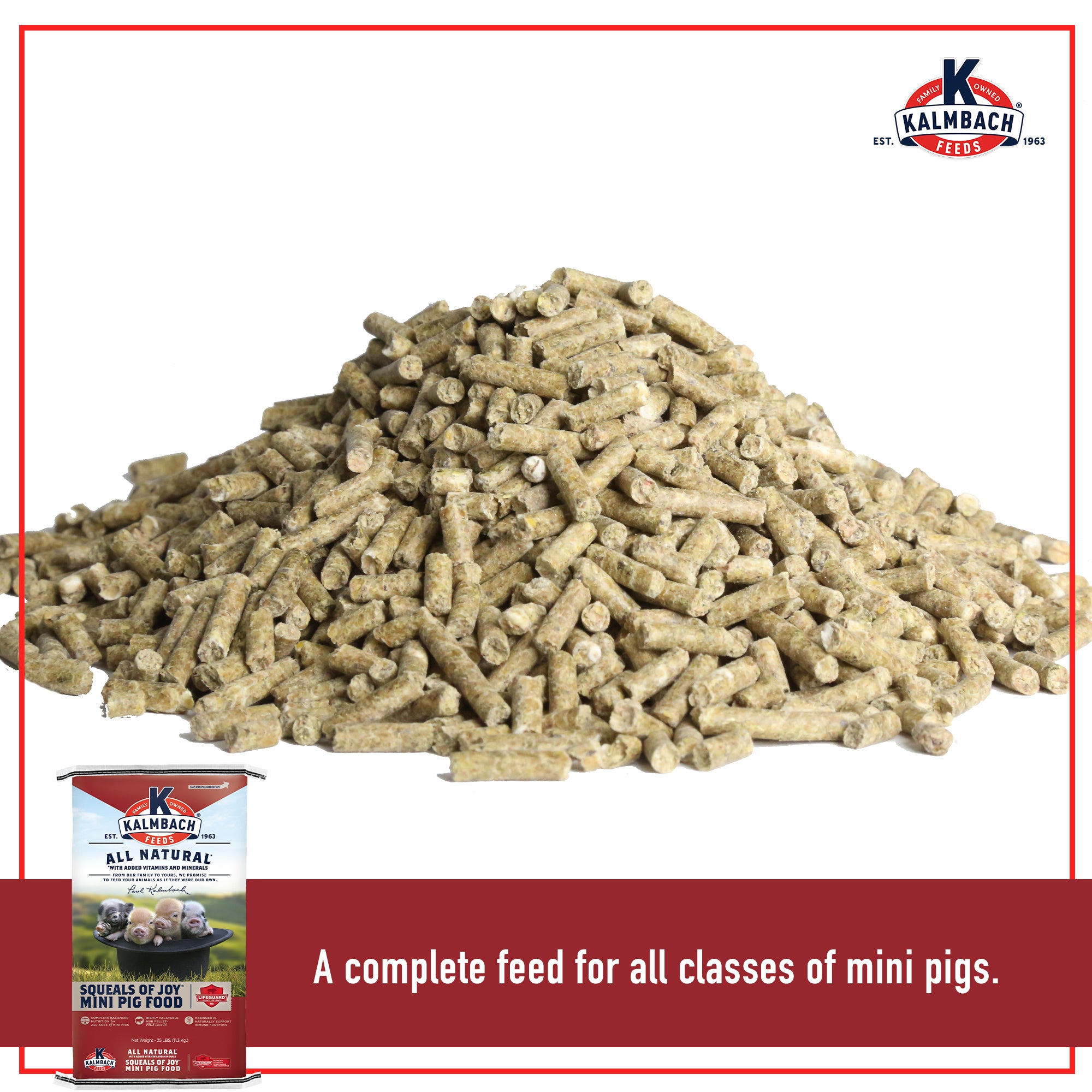 Squeals of Joy mini pig food pellets with 25 lb bag, a complete feed for all classes of mini pigs