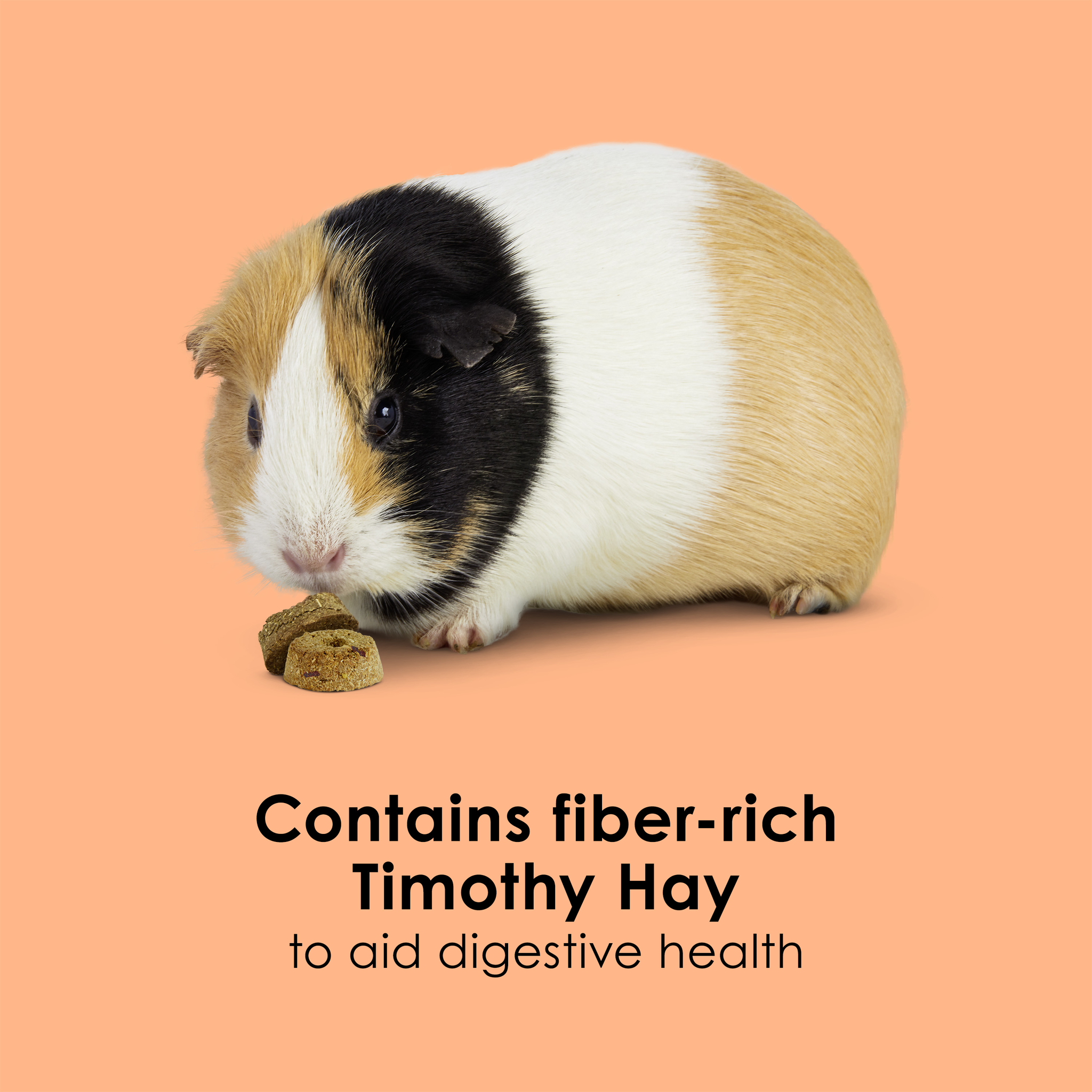 Kaytee Super C Bites, 4 Ounce fiber rich timothy hay