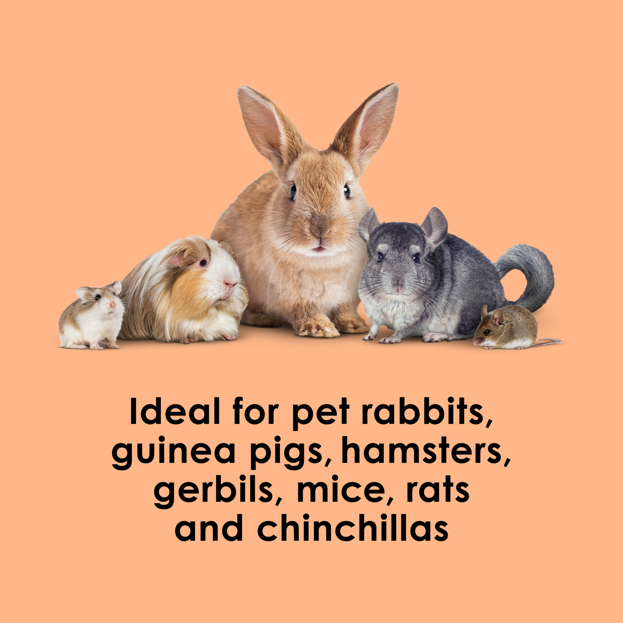 Kaytee Super C Bites, 4 Ounce ideal for small pets