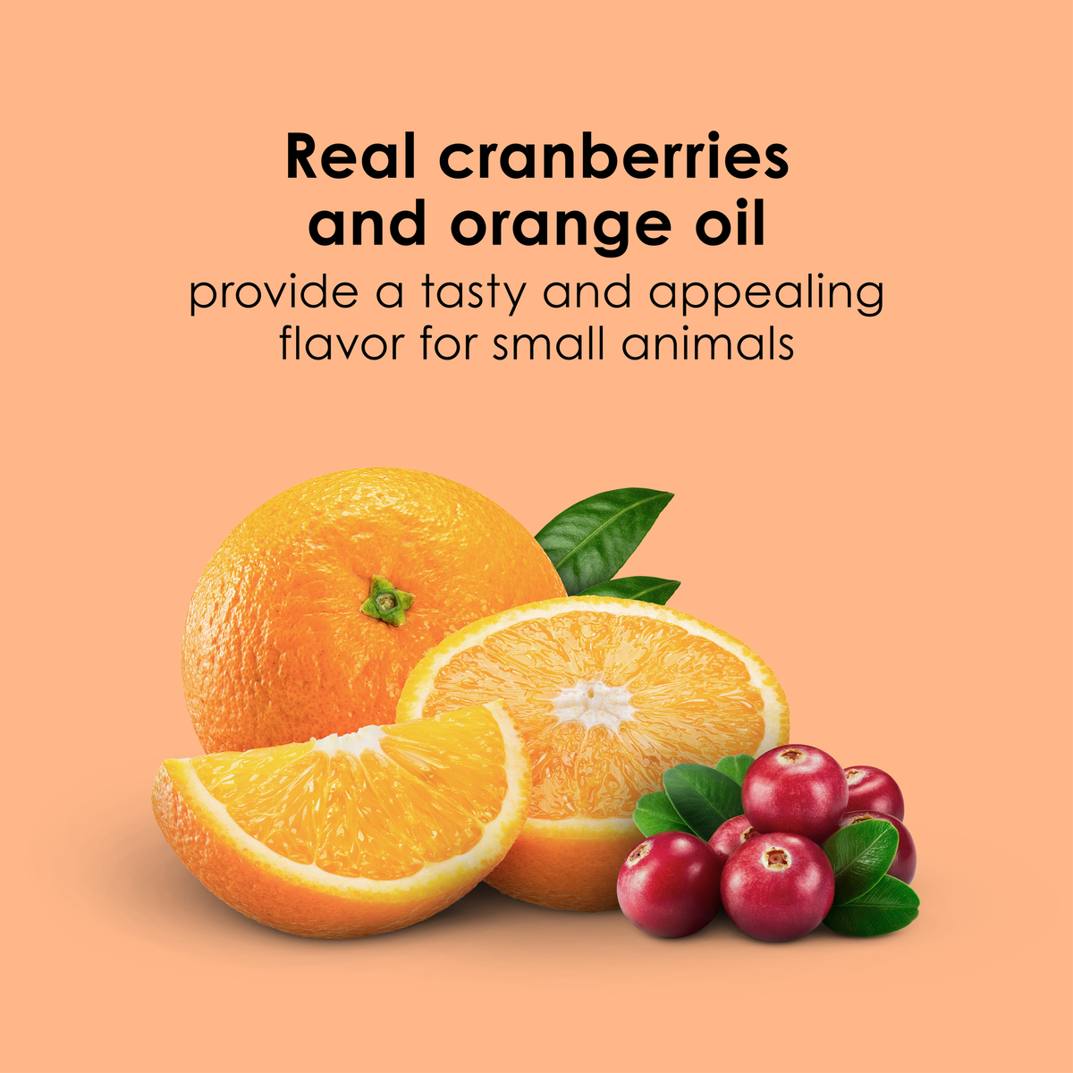 Kaytee Super C Bites, 4 Ounce real cranberries and orange oil