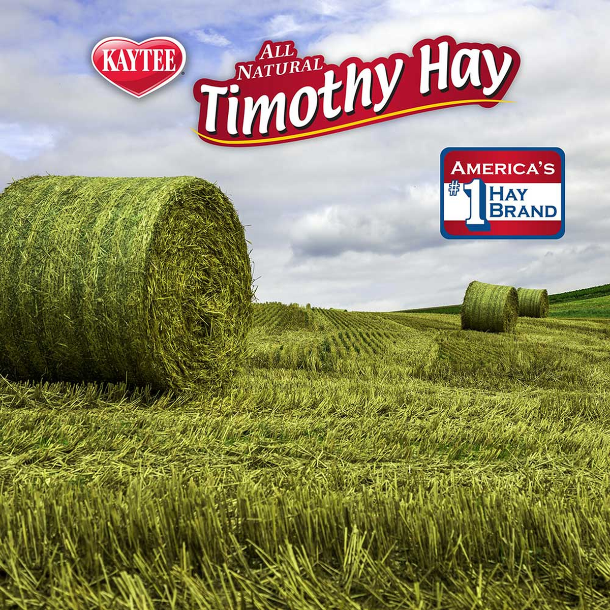 Kaytee Timothy Hay Plus Carrots, 24 Ounce timothy hay field