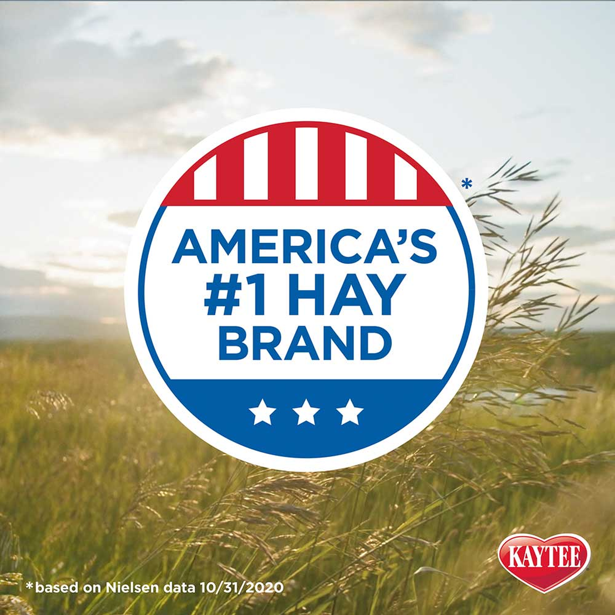 Kaytee Timothy Hay Plus Cranberries, 24 Ounce americas number one hay brand