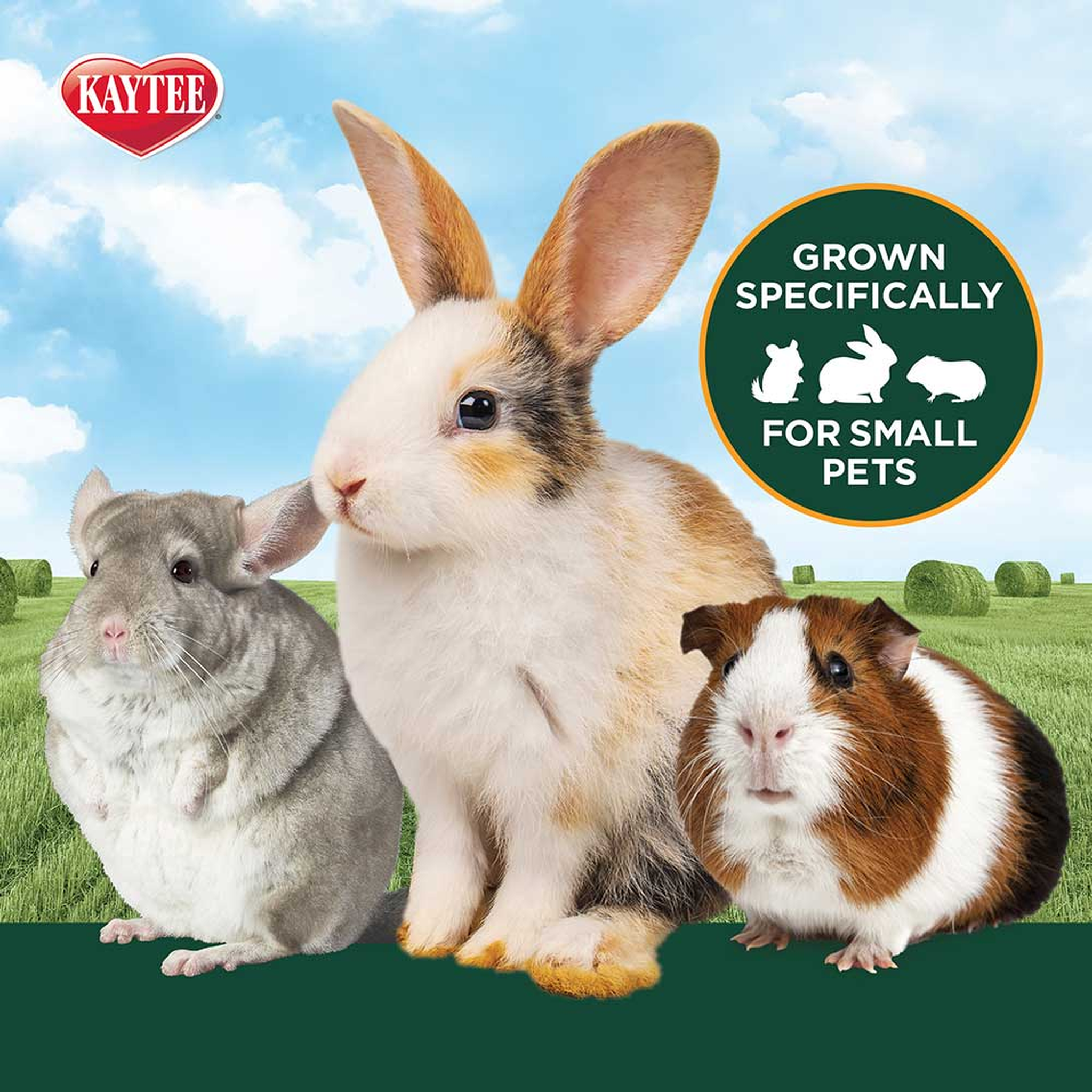 Kaytee Timothy Hay Plus Cranberries, 24 Ounce grown for small pets