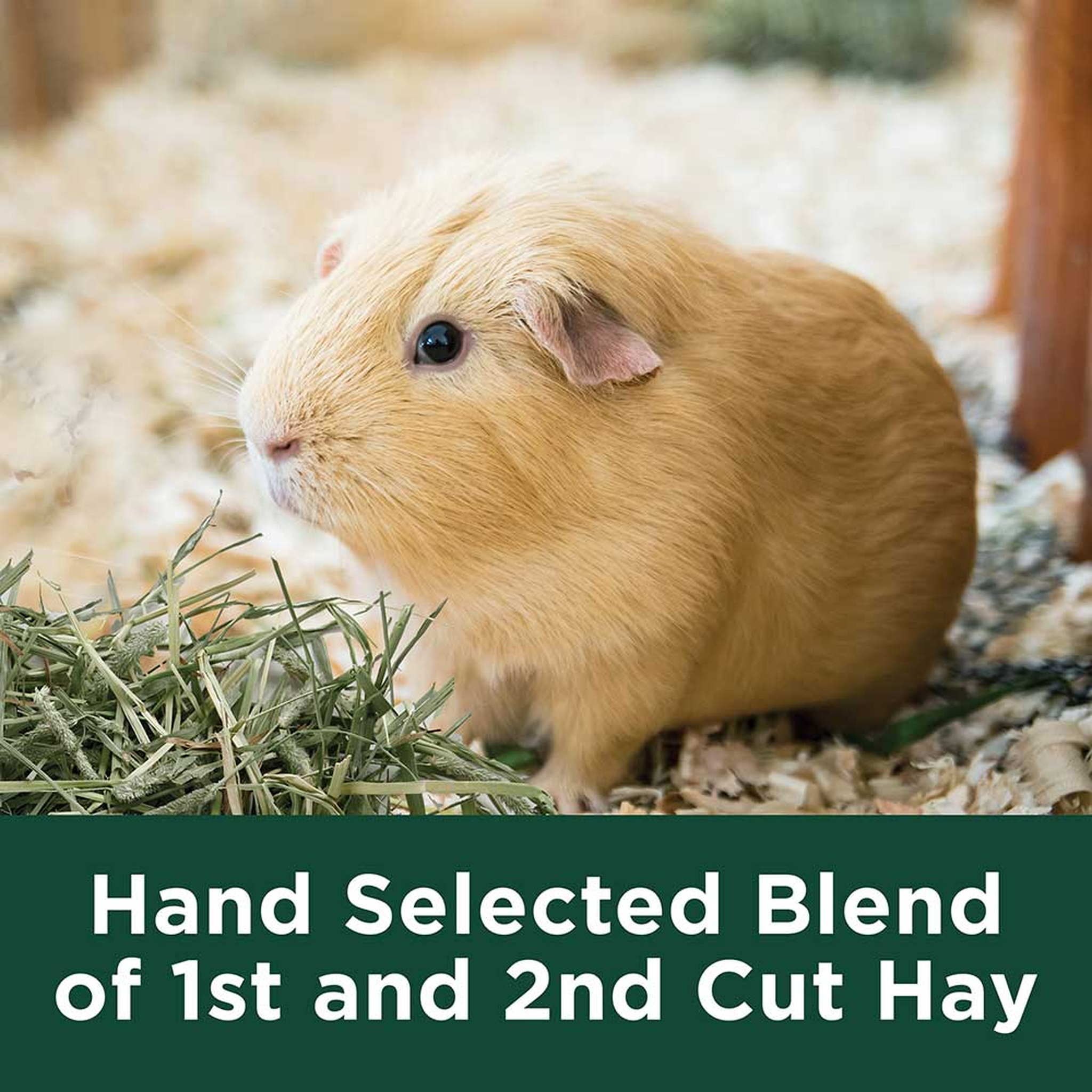 Kaytee Timothy Hay Plus Cranberries, 24 Ounce hand selected blend