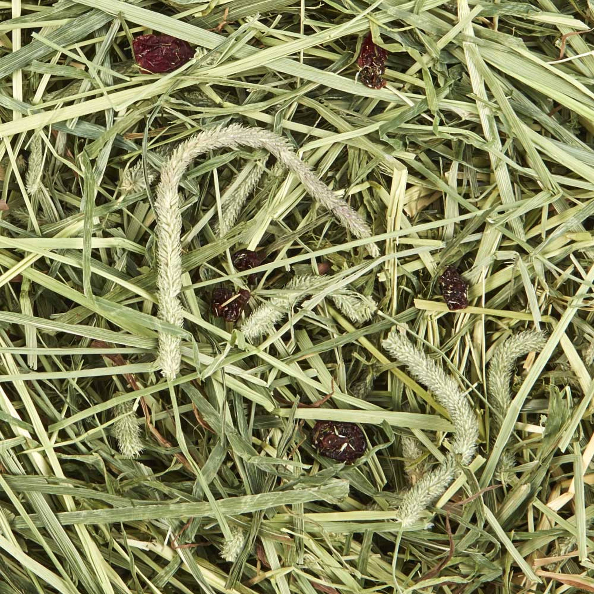 Kaytee Timothy Hay Plus Cranberries, 24 Ounce hay with cranberries
