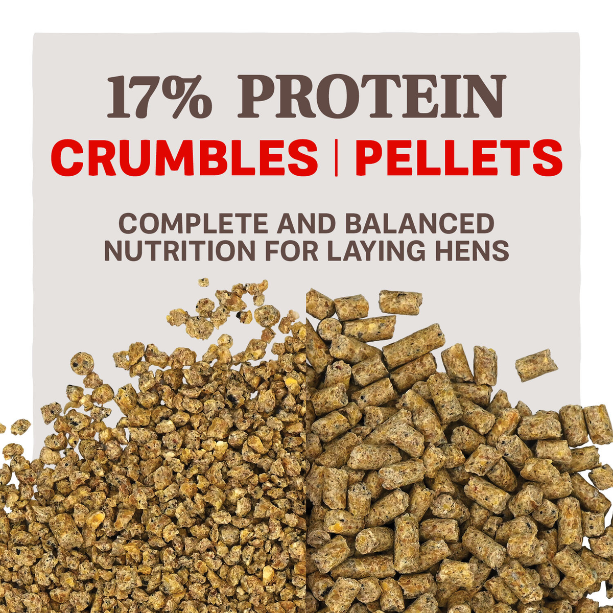 Home Fresh Extra Egg Layer 17 percent protein crumbles and pellets comparison