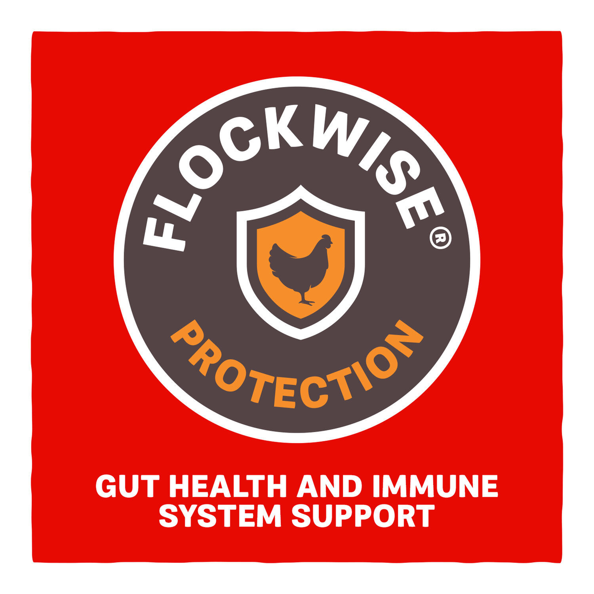 Home Fresh Extra Egg Layer FlockWise Protection gut health and immune system support