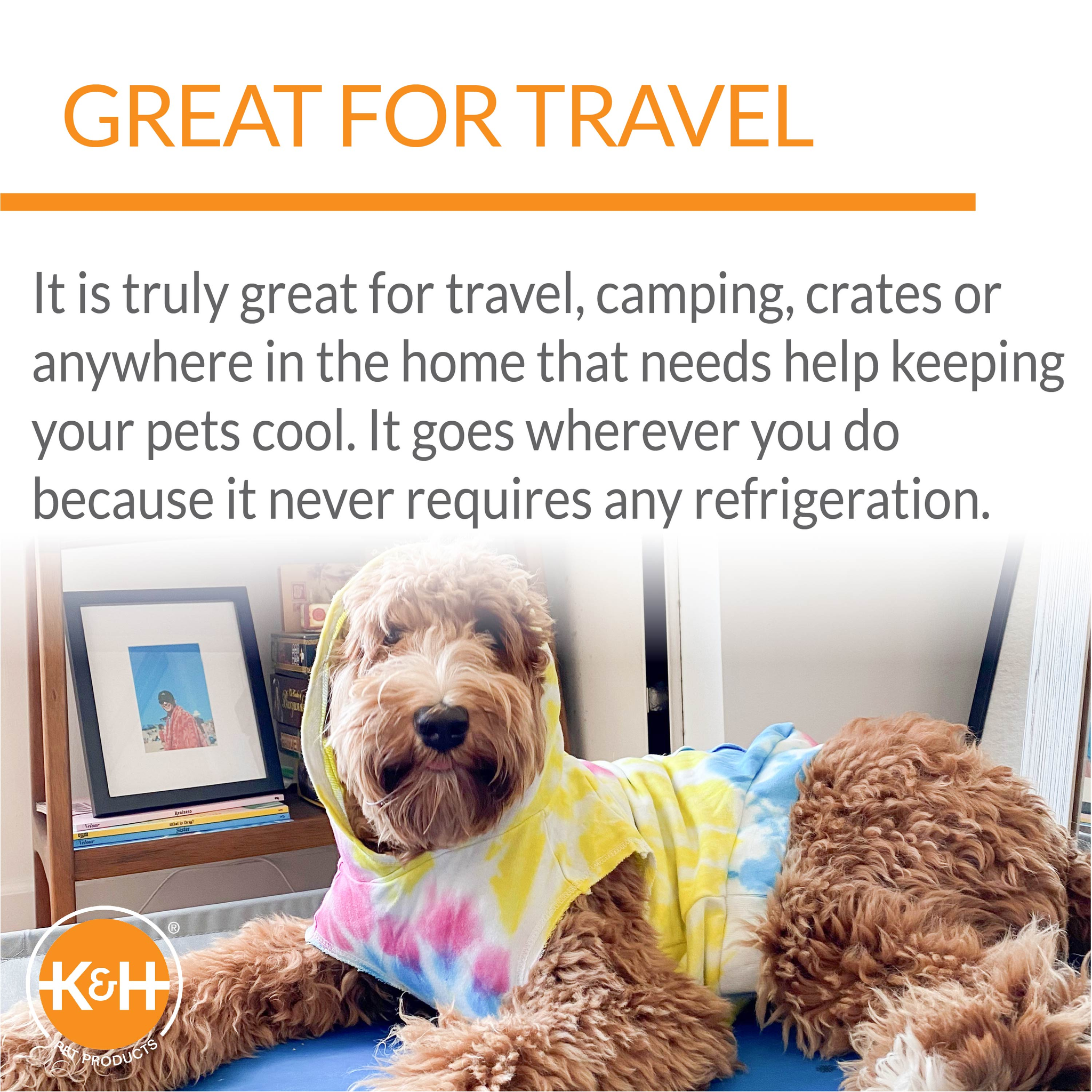 K&H Coolin Pet Pad is great for travel, camping and crates and never requires refrigeration
