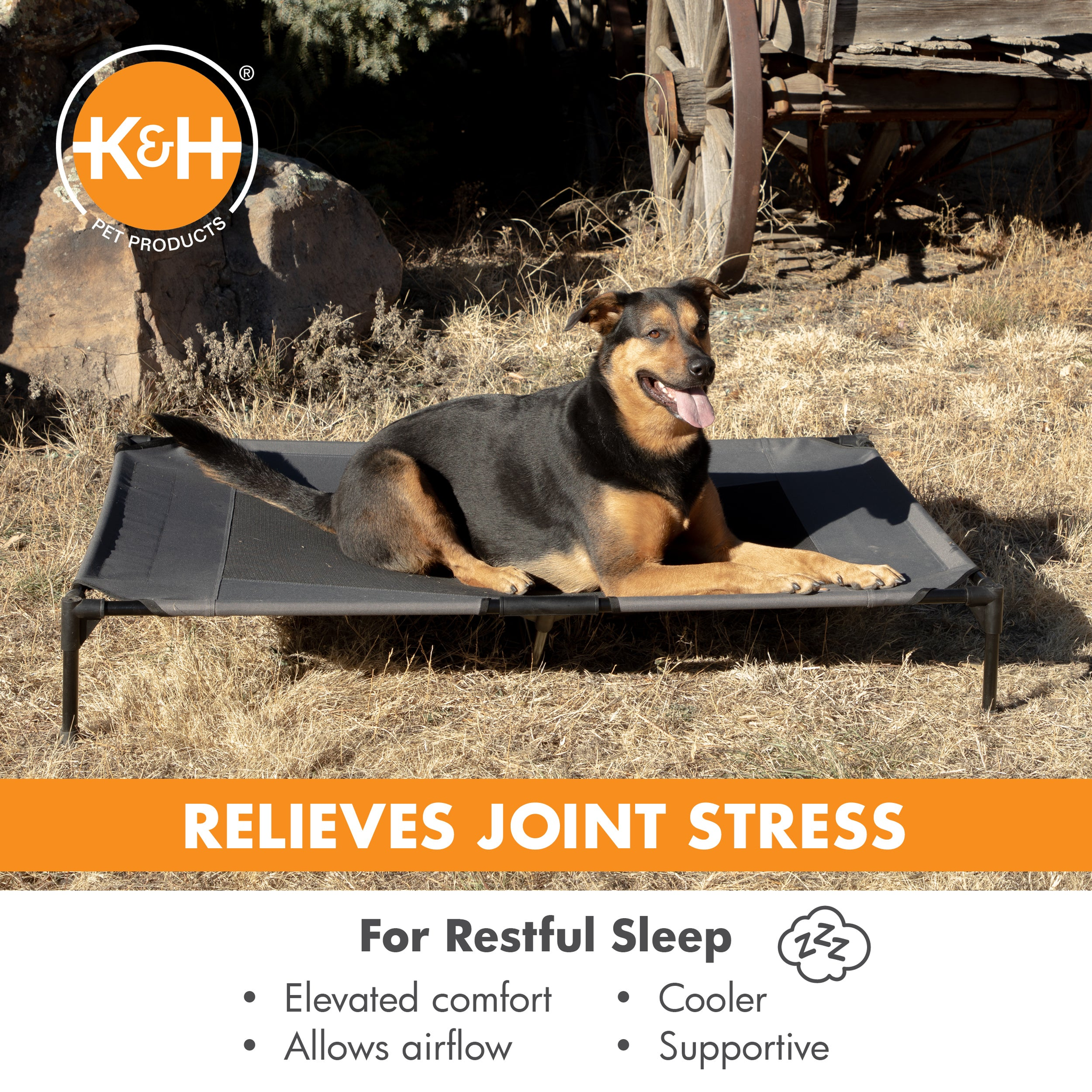 K&H Original Pet Cot relieves joint stress with elevated comfort, airflow and support for restful sleep