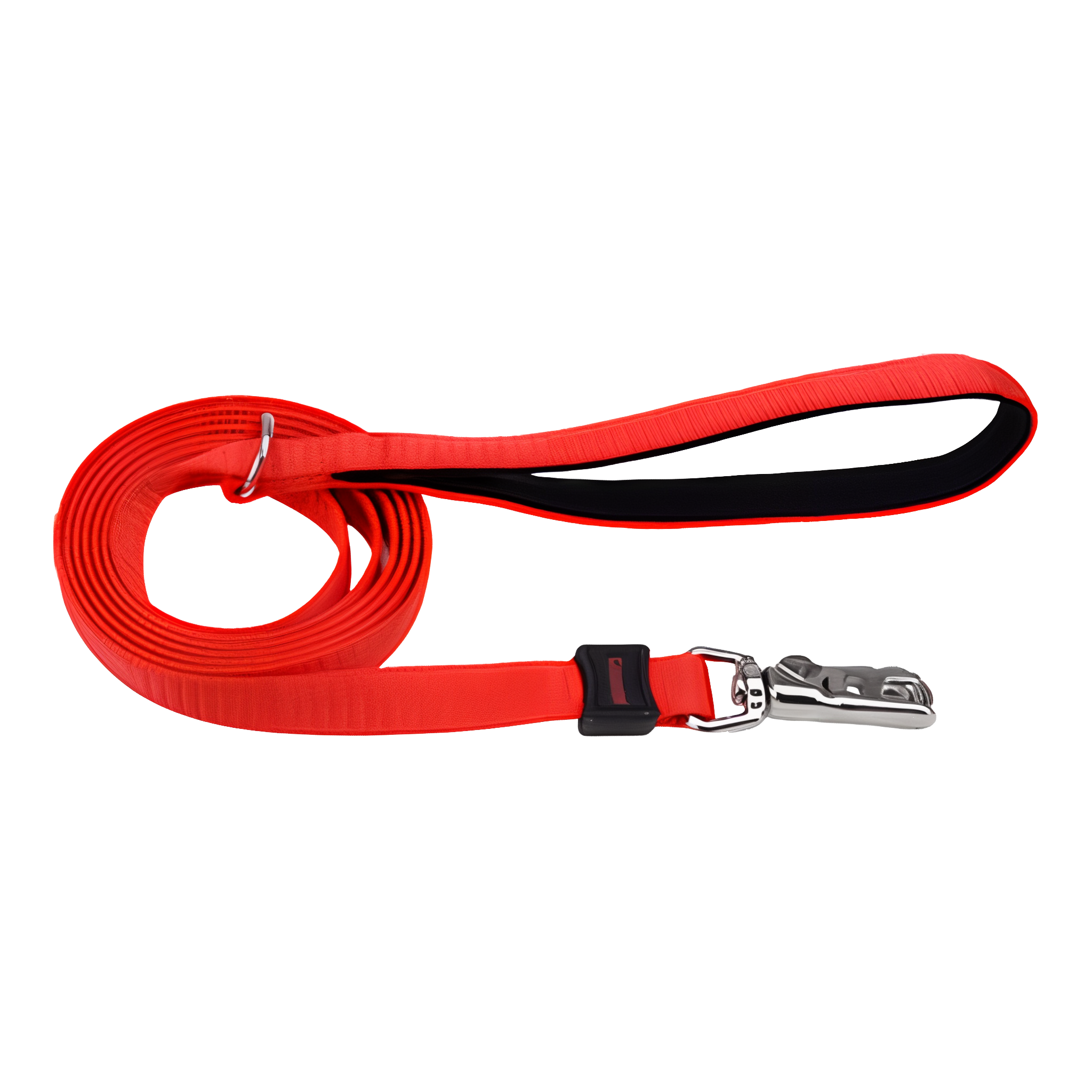 Coastal Inspire Leash