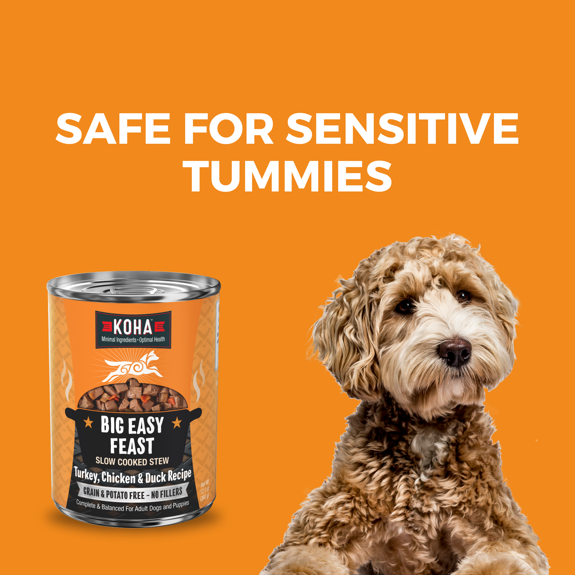 KOHA Big Easy Feast 12.7 oz can beside a calm dog, a grain and potato free recipe for sensitive stomachs