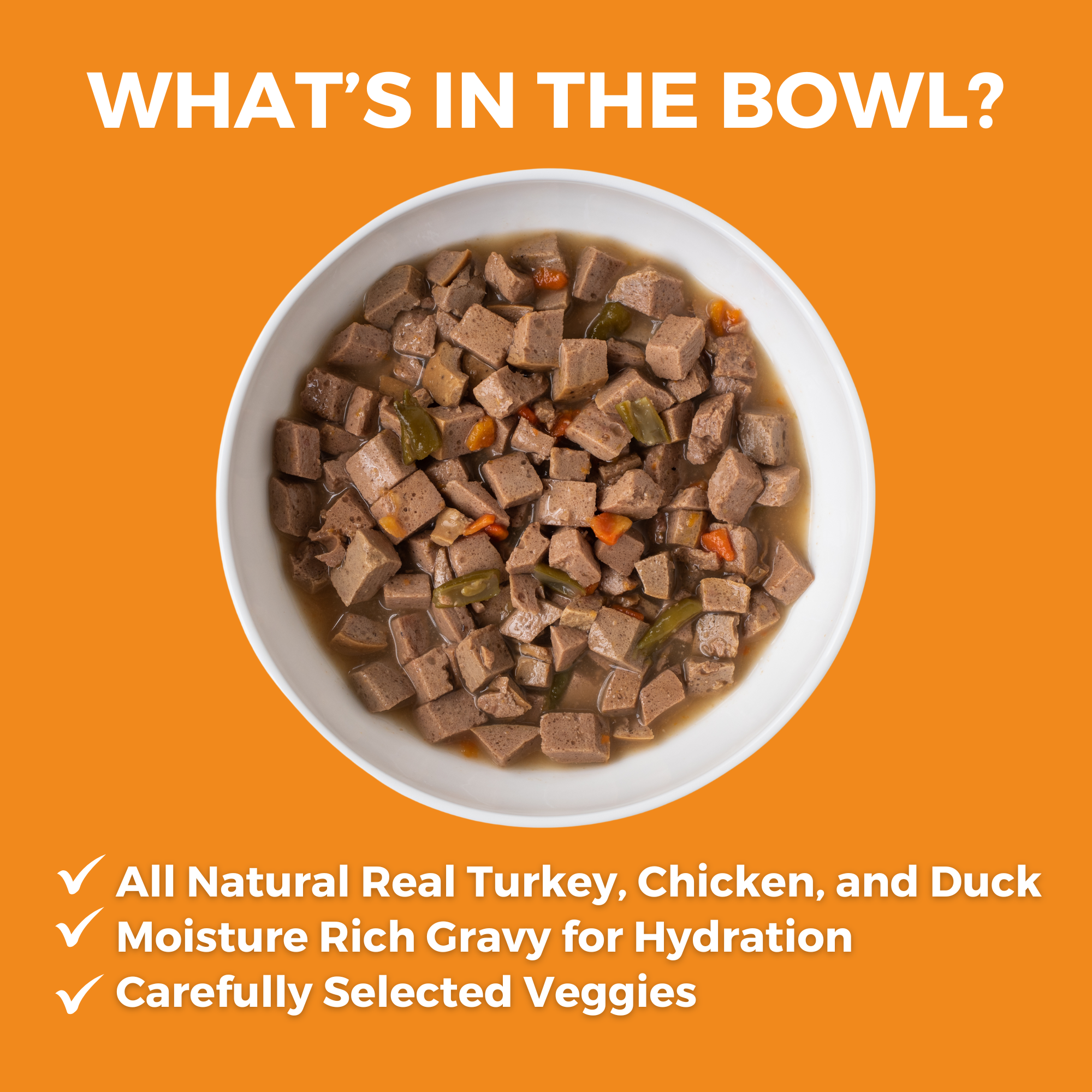 Bowl of KOHA Big Easy Feast for dogs with all natural real turkey, chicken, and duck, moisture-rich gravy for hydration, and carefully selected veggies
