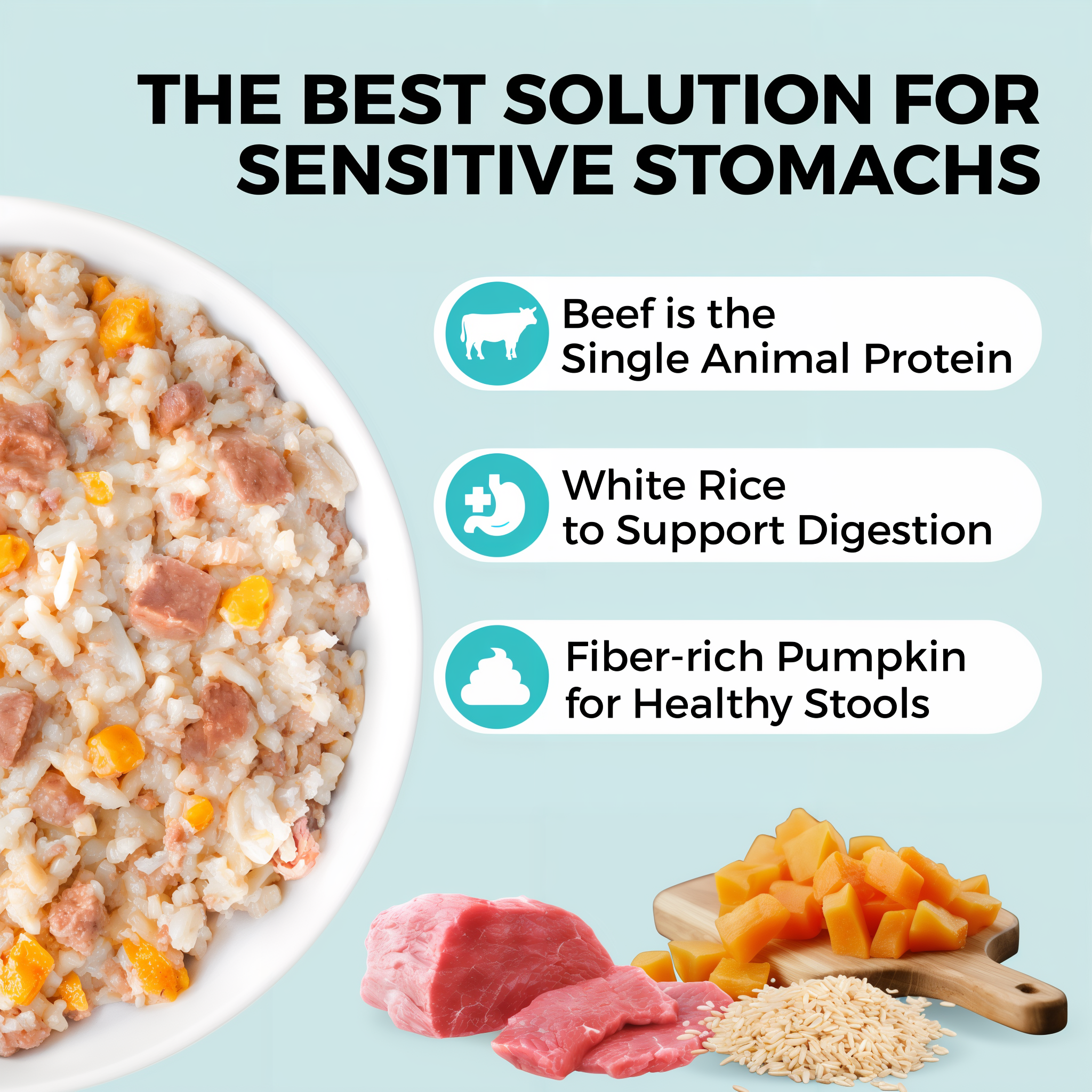 Beef, white rice, and pumpkin bland diet for dogs with sensitive stomachs: beef as the single animal protein, white rice to support digestion, and fiber-rich pumpkin for healthy stools