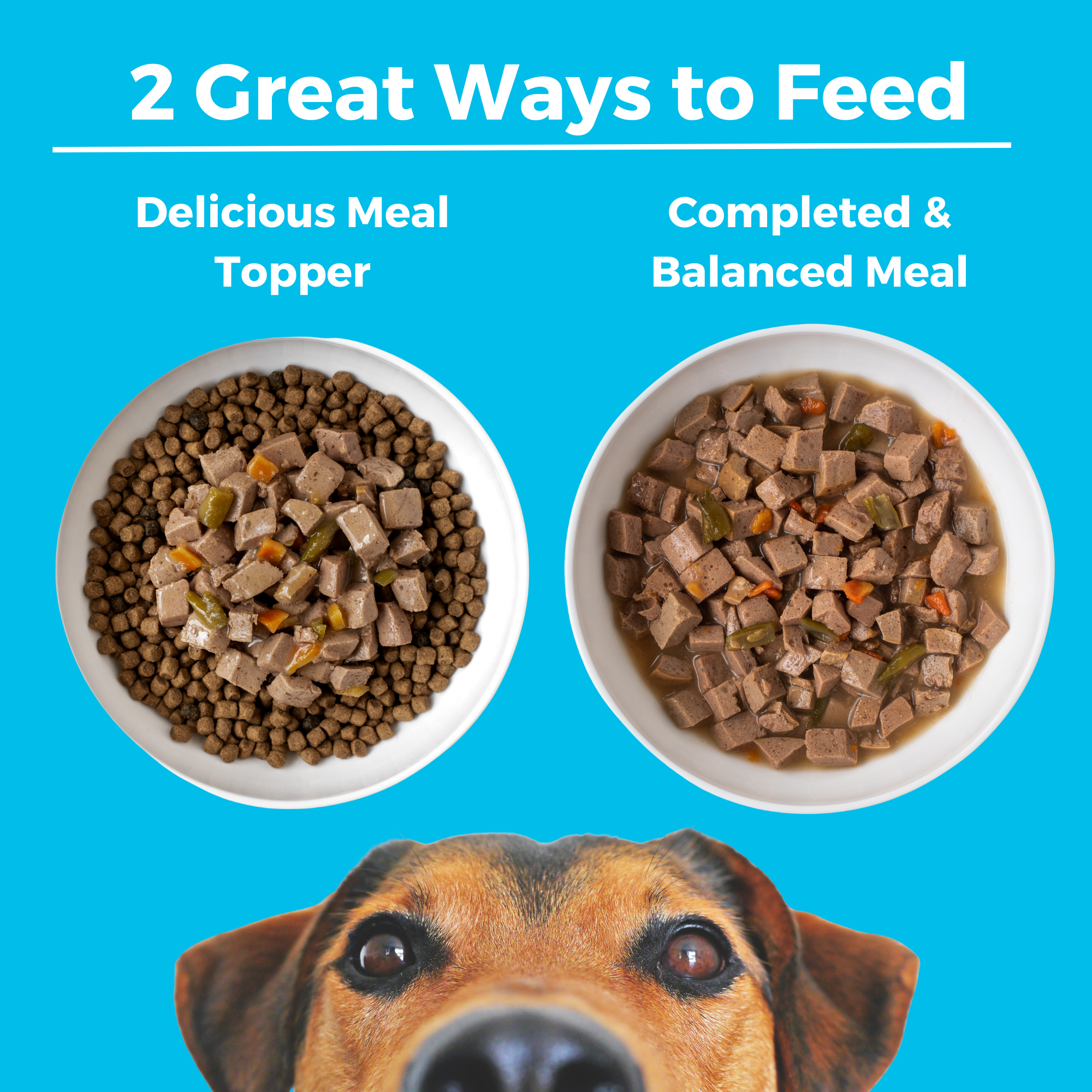 Two ways to feed KOHA Greek Island Grill for dogs: as a delicious meal topper over kibble or as a complete and balanced meal
