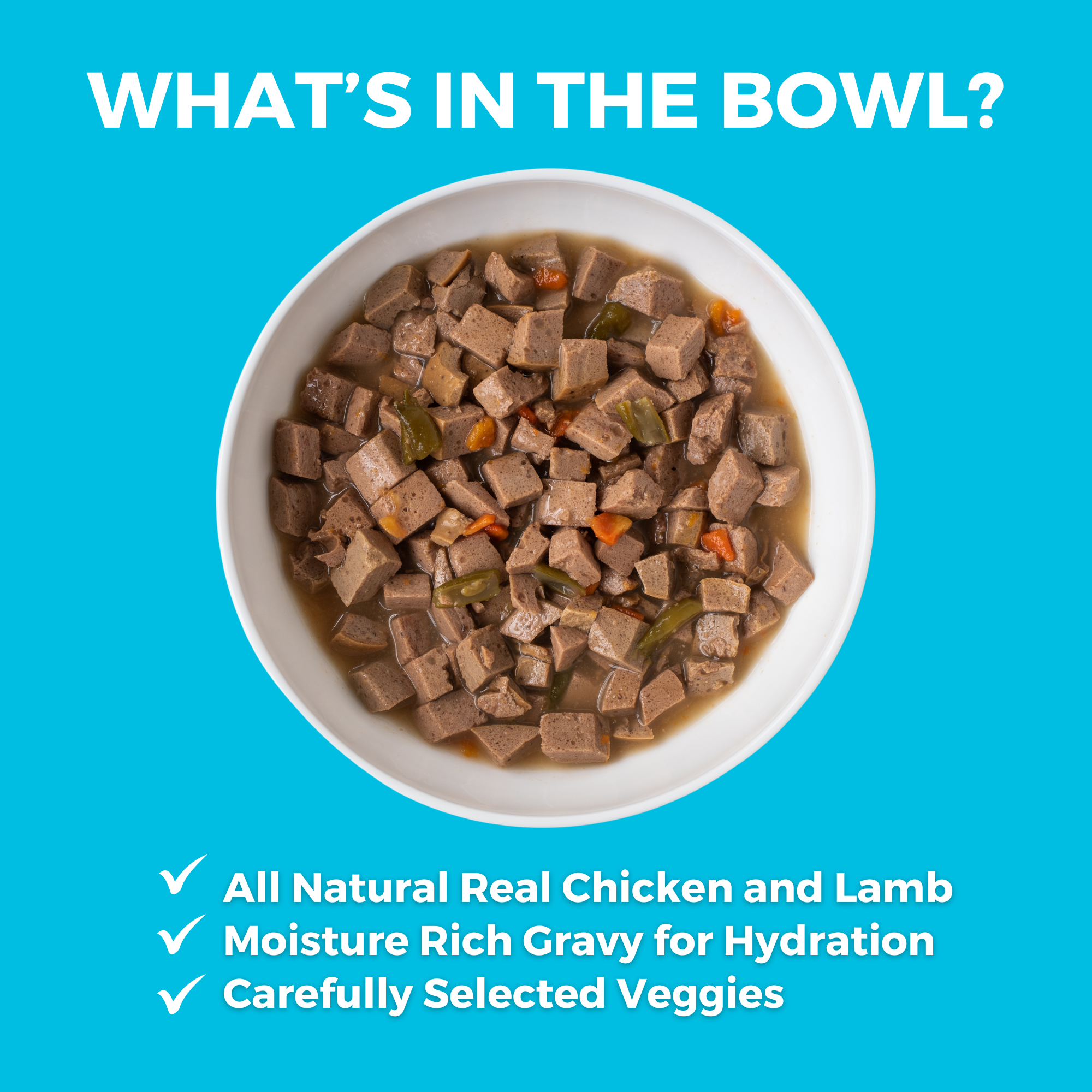 Bowl of KOHA Greek Island Grill for dogs with all natural real chicken and lamb, moisture-rich gravy for hydration, and carefully selected veggies