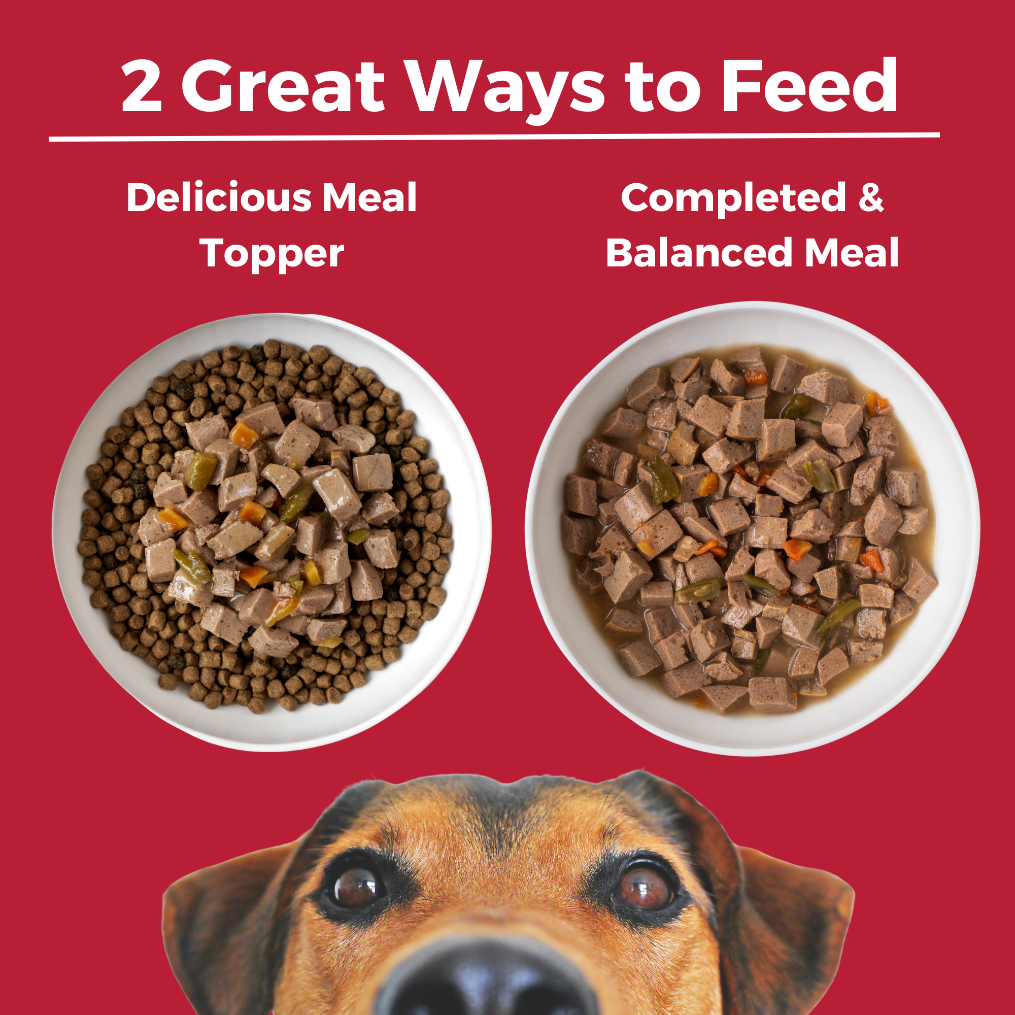 Two ways to feed KOHA Lone Star Brisket for dogs: as a delicious meal topper over kibble or as a complete and balanced meal