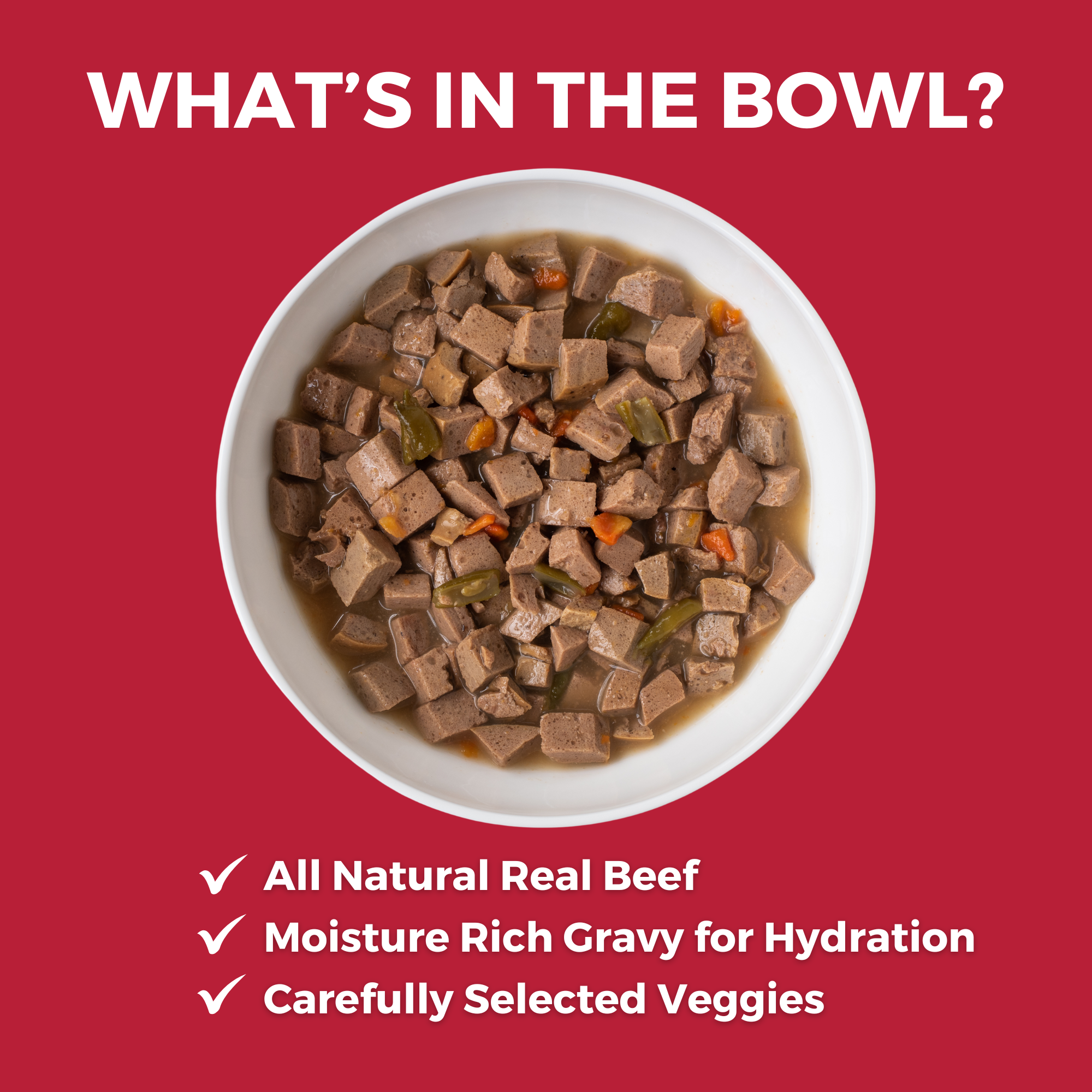 Bowl of KOHA Lone Star Brisket for dogs with all natural real beef, moisture-rich gravy for hydration, and carefully selected veggies