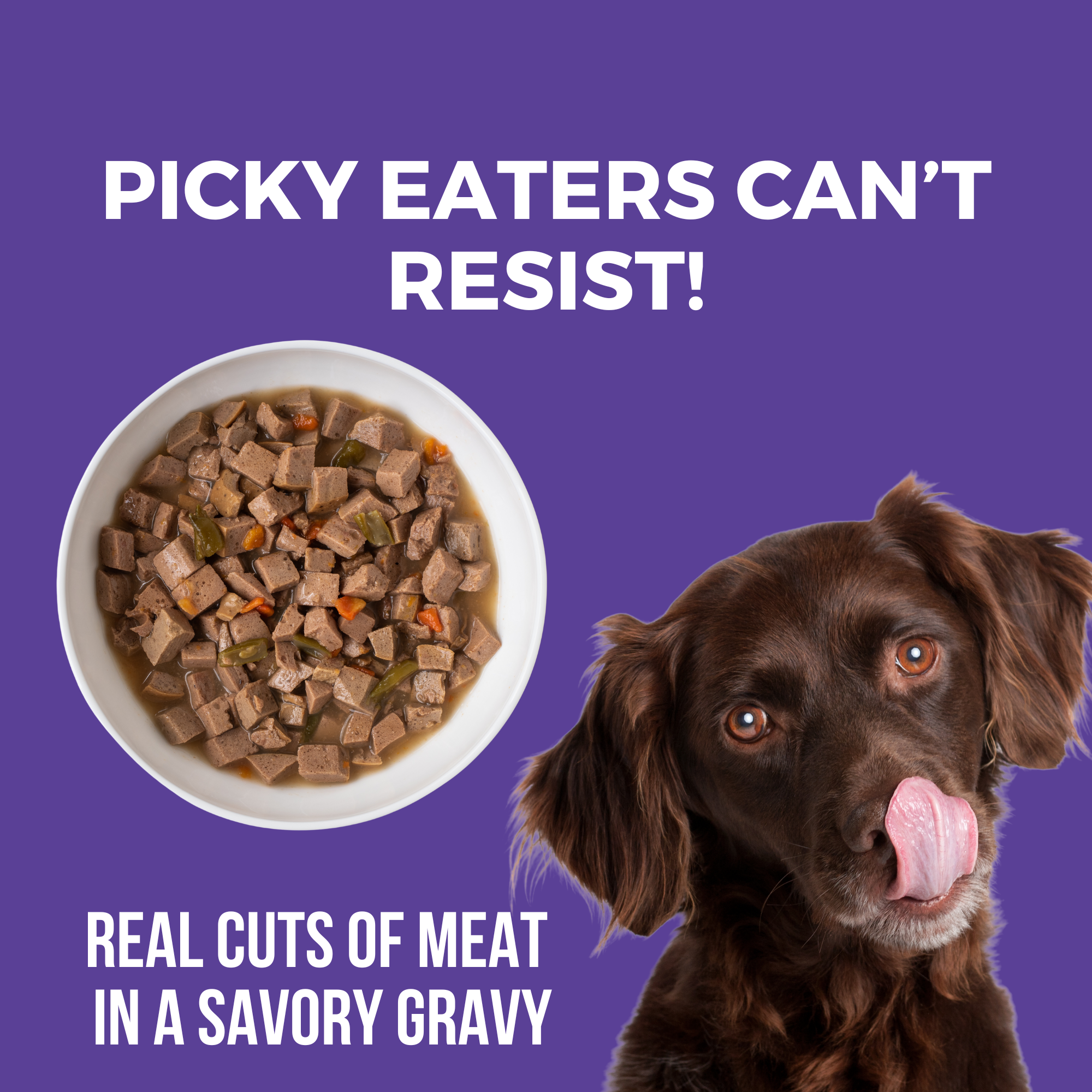 Bowl of KOHA Memphis Barbeque chicken and pork stew with real cuts of meat in a savory gravy beside a happy dog
