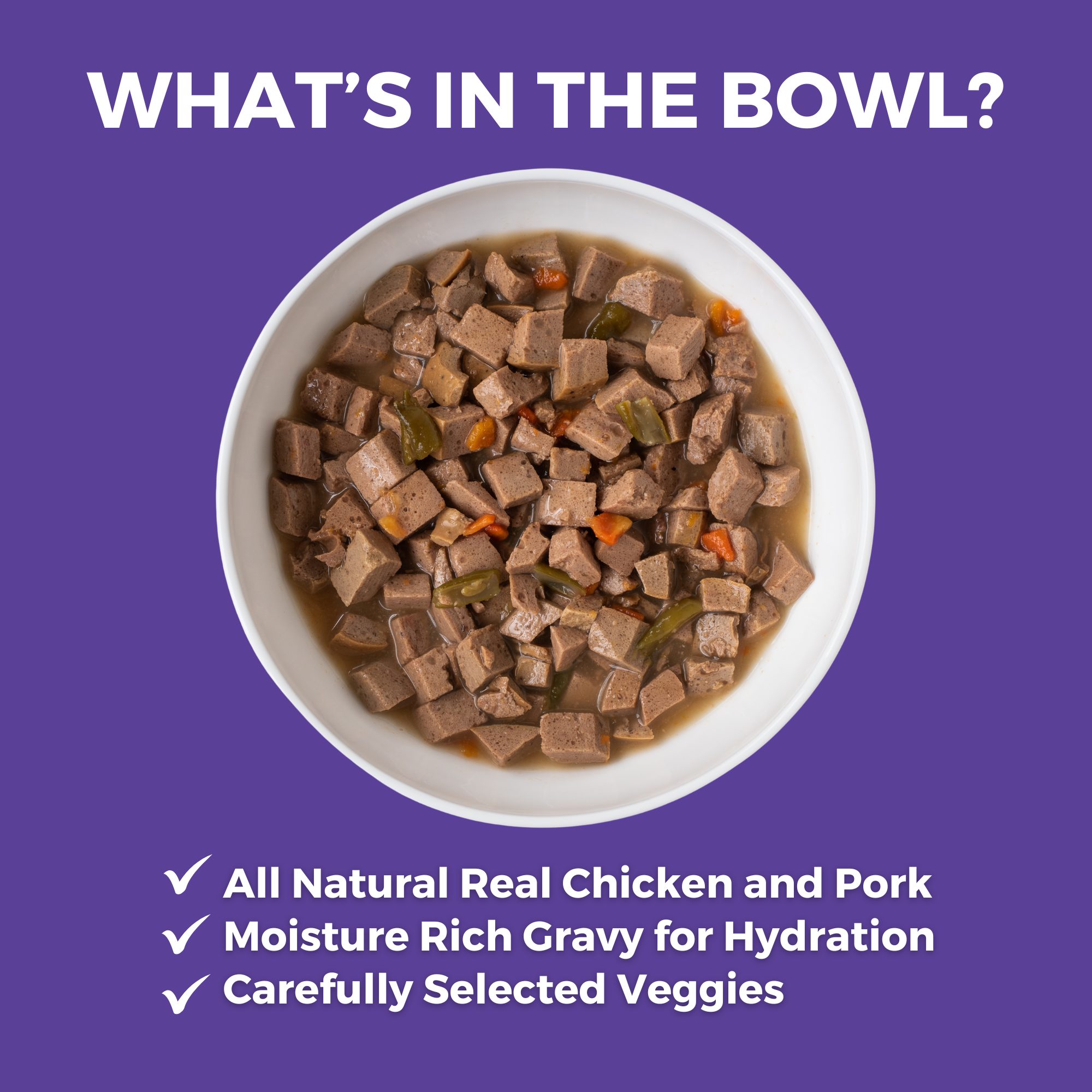 Bowl of KOHA Memphis Barbeque for dogs with all natural real chicken and pork, moisture-rich gravy for hydration, and carefully selected veggies