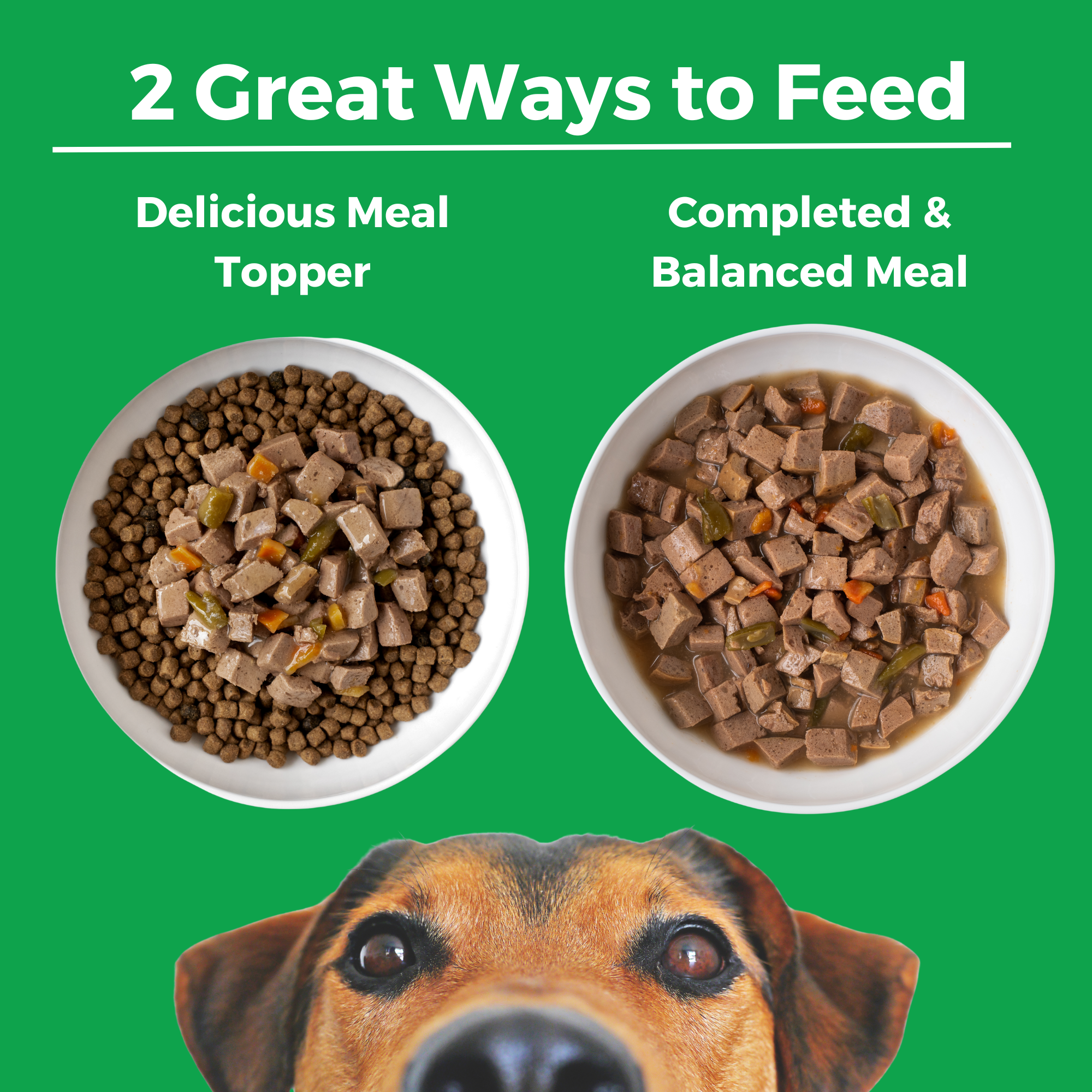 Two ways to feed KOHA Pike Place Platter for dogs: as a delicious meal topper over kibble or as a complete and balanced meal
