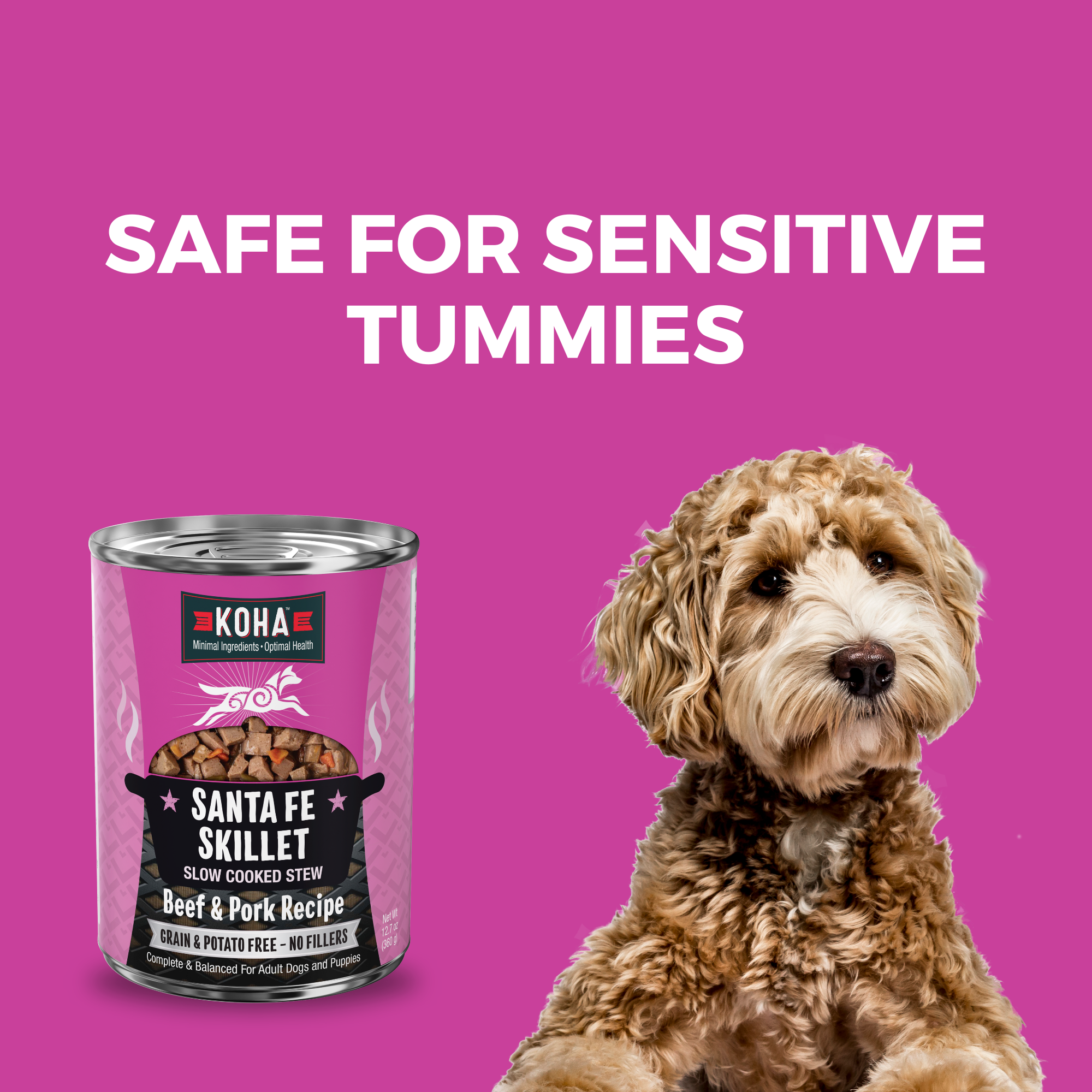 KOHA Santa Fe Skillet 12.7 oz can beside a calm dog, a grain and potato free recipe for sensitive stomachs