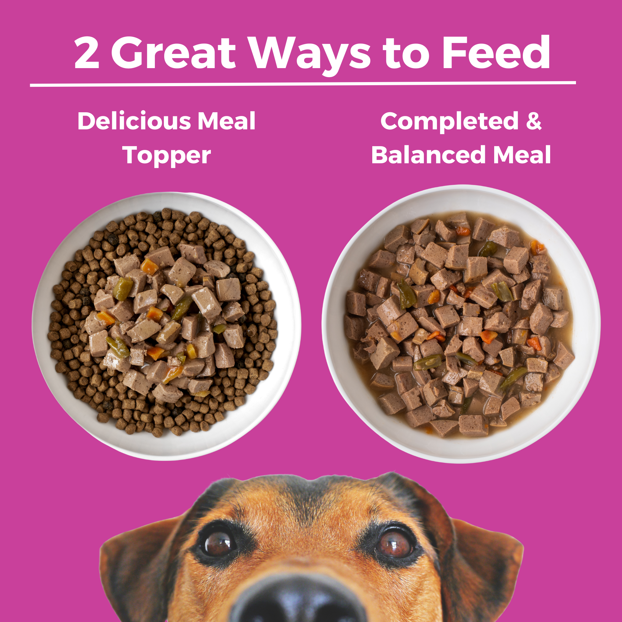 Two ways to feed KOHA Santa Fe Skillet for dogs: as a delicious meal topper over kibble or as a complete and balanced meal