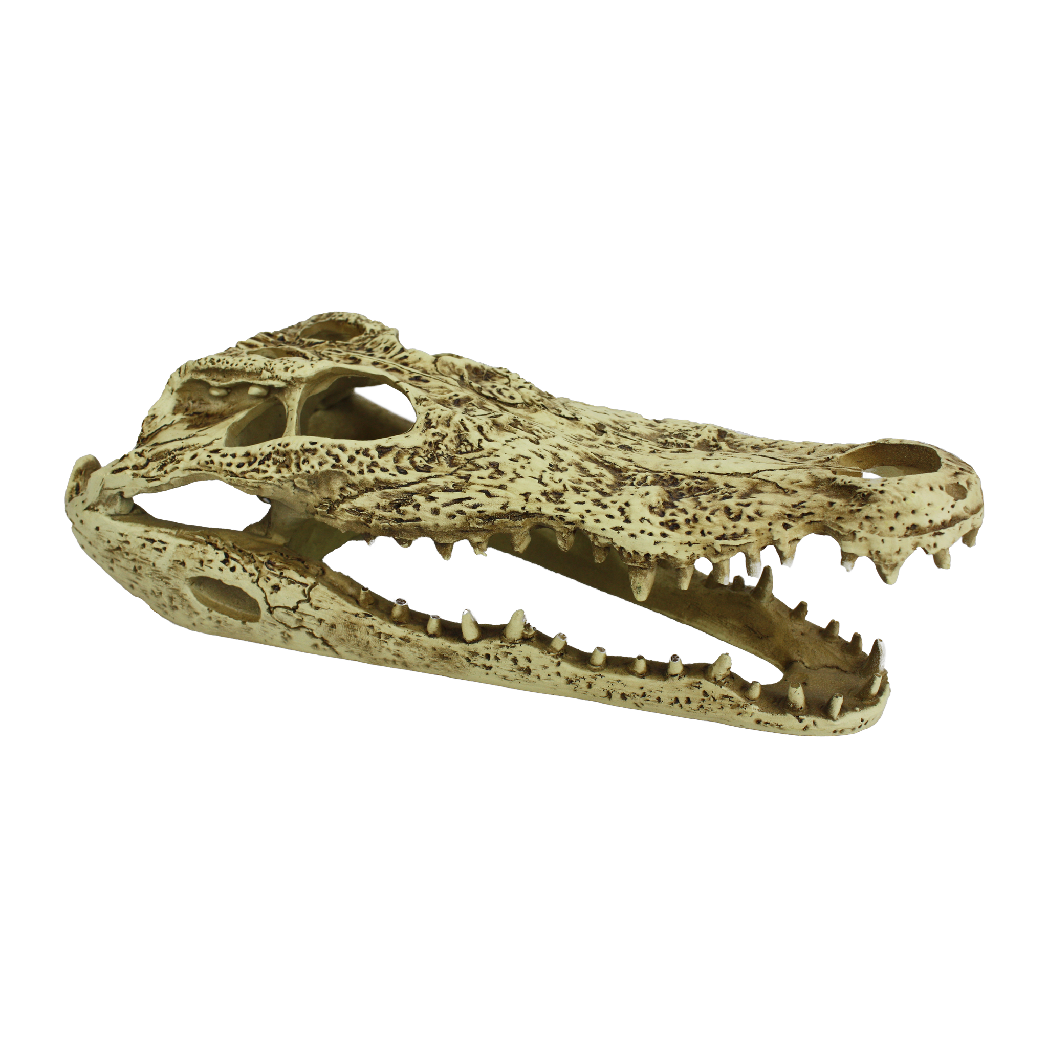 Komodo Alligator Skull Hideout three-quarter view -- weathered resin skull hide with open jaw