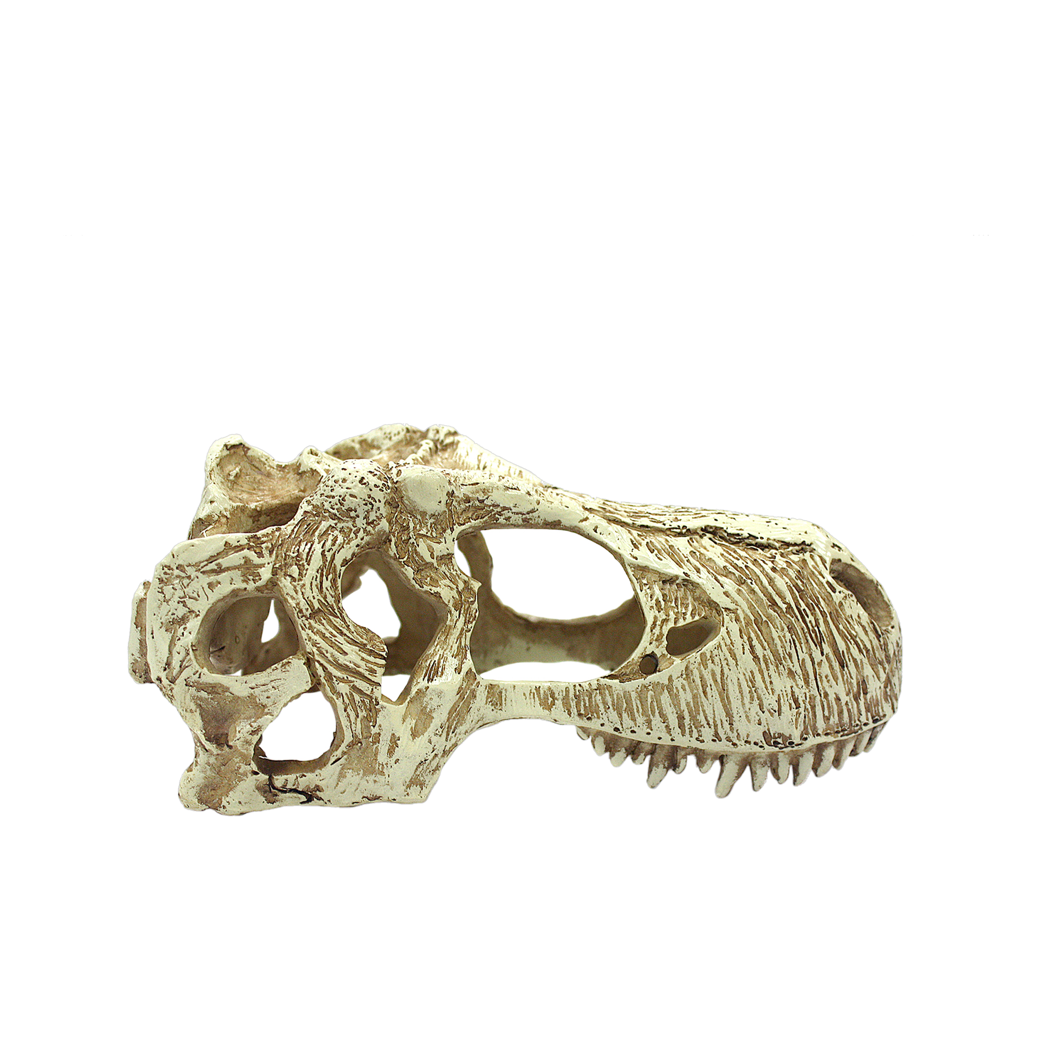 Side profile of the Komodo T-Rex skull terrarium hide with sculpted teeth