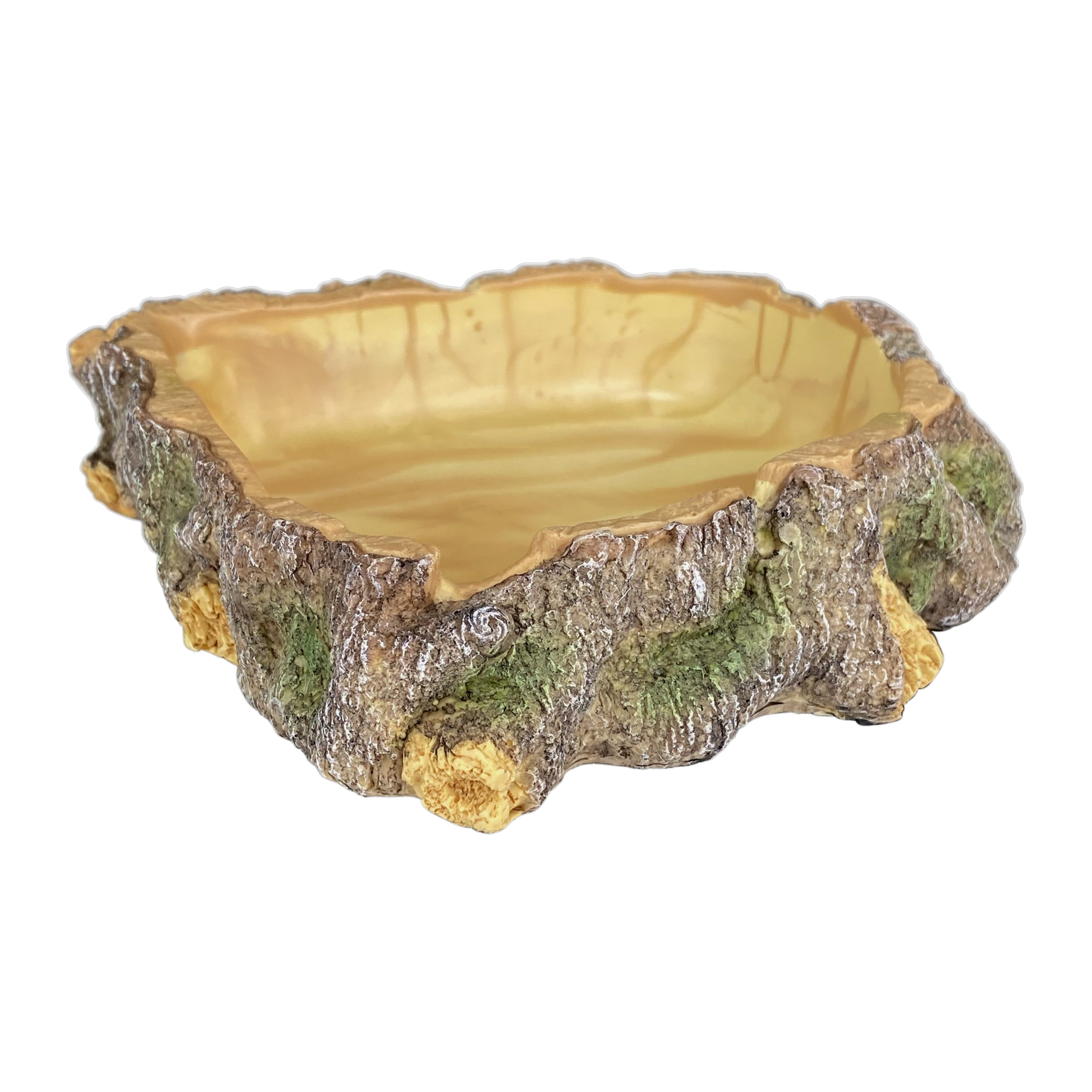 Komodo Wood Corner Bowl rear three-quarter view of the resin log dish