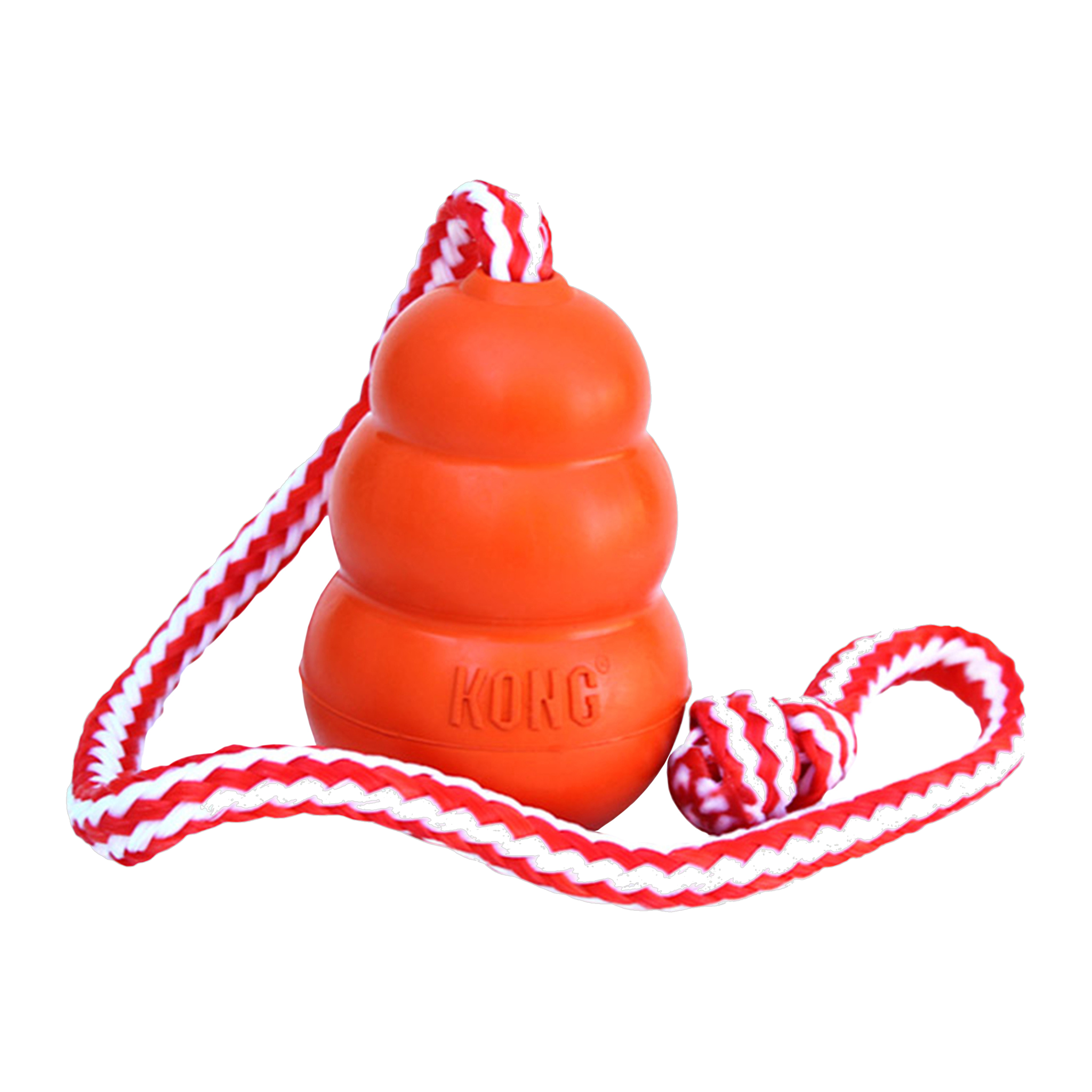 KONG Aqua floating dog toy with throw rope