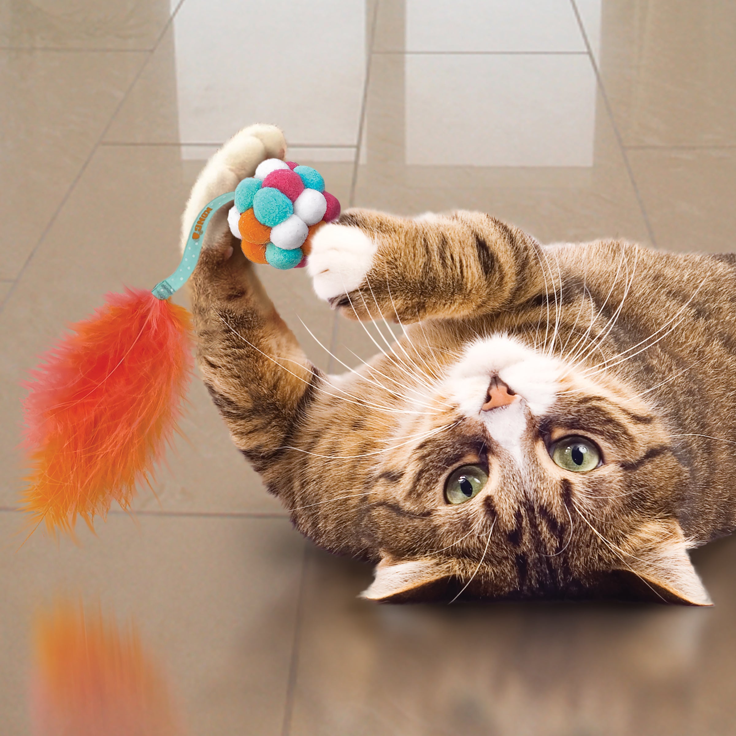 Cat playing with KONG Cat Active Bubble Ball pom-pom toy