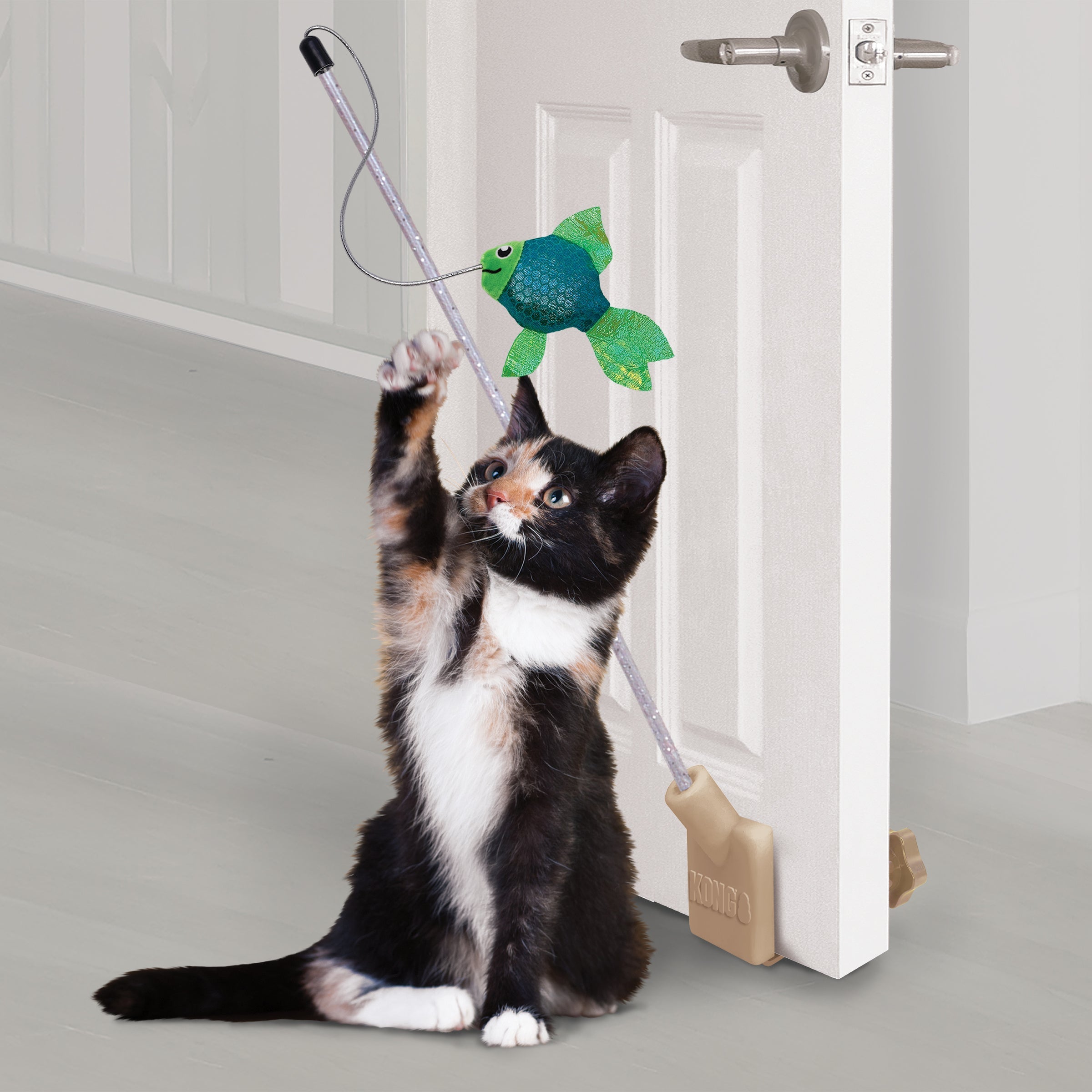 Calico kitten batting at the dangling fish of the KONG Connects Angler Door Teaser mounted on a door