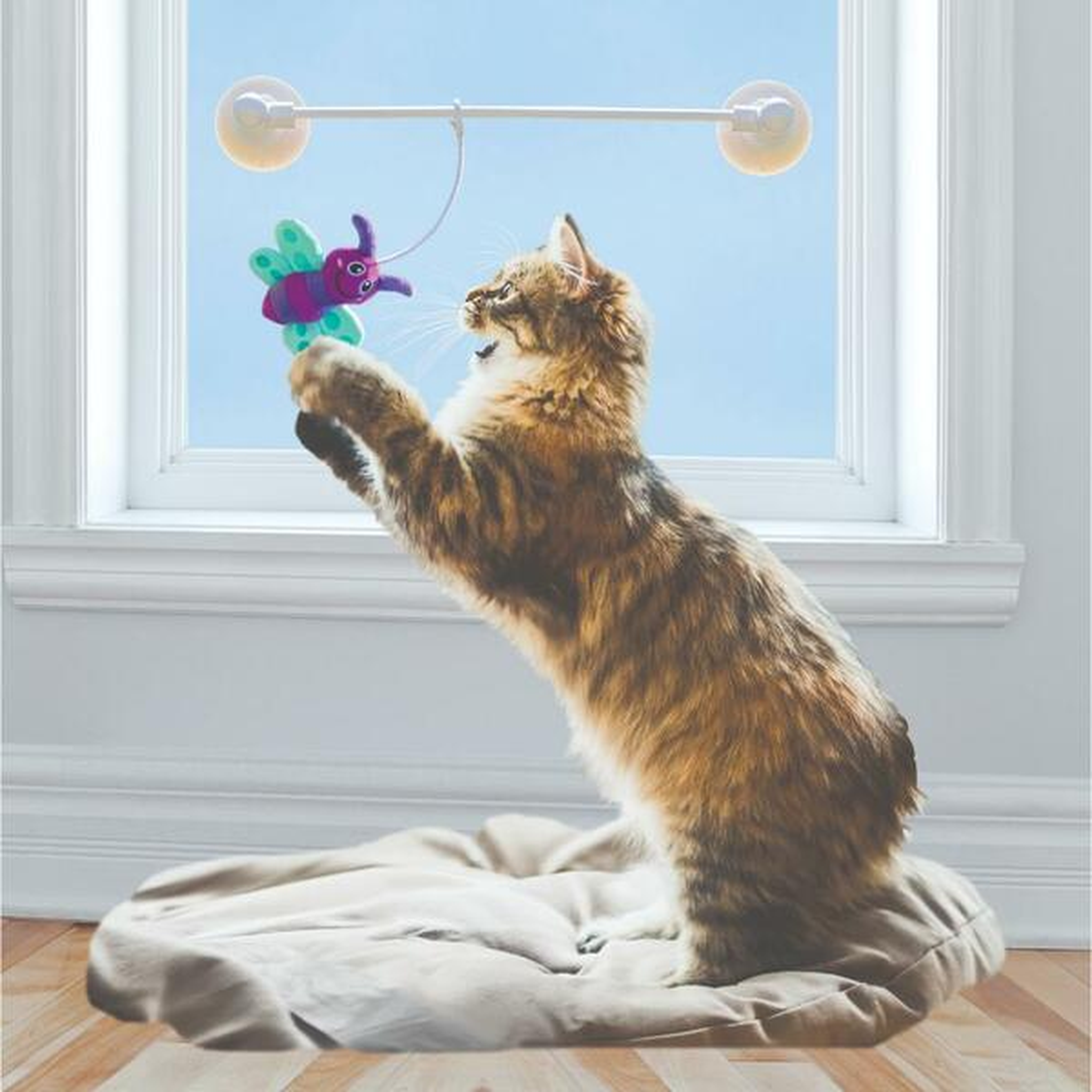 Cat batting the KONG Connects Glow Firefly toy mounted on a window