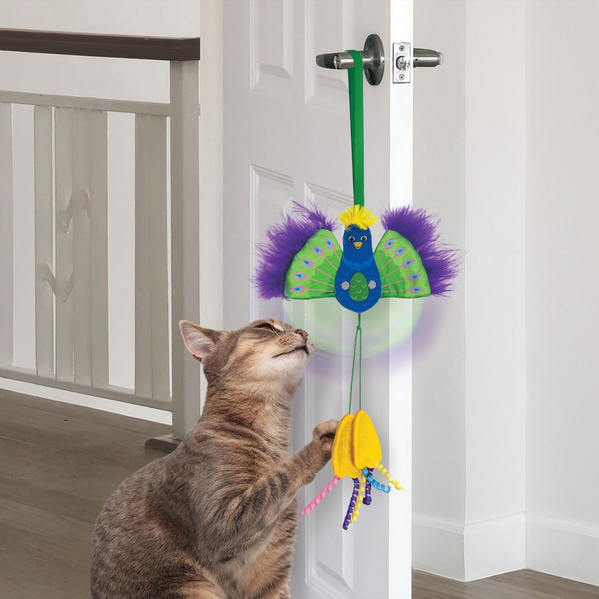 Cat batting at a KONG Connects Peacock toy hanging from a door handle