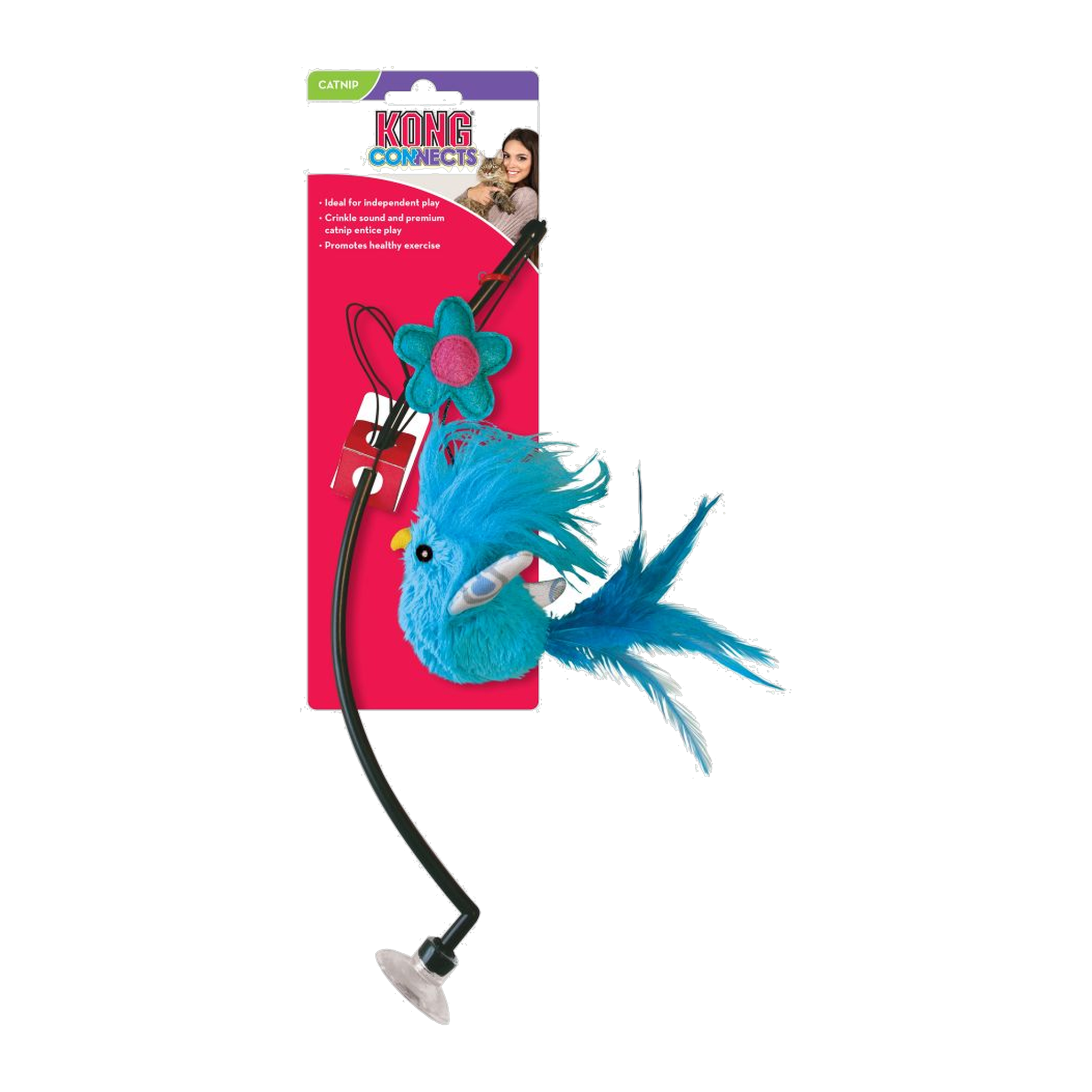 KONG Connects Window Teaser retail packaging with blue feather bird
