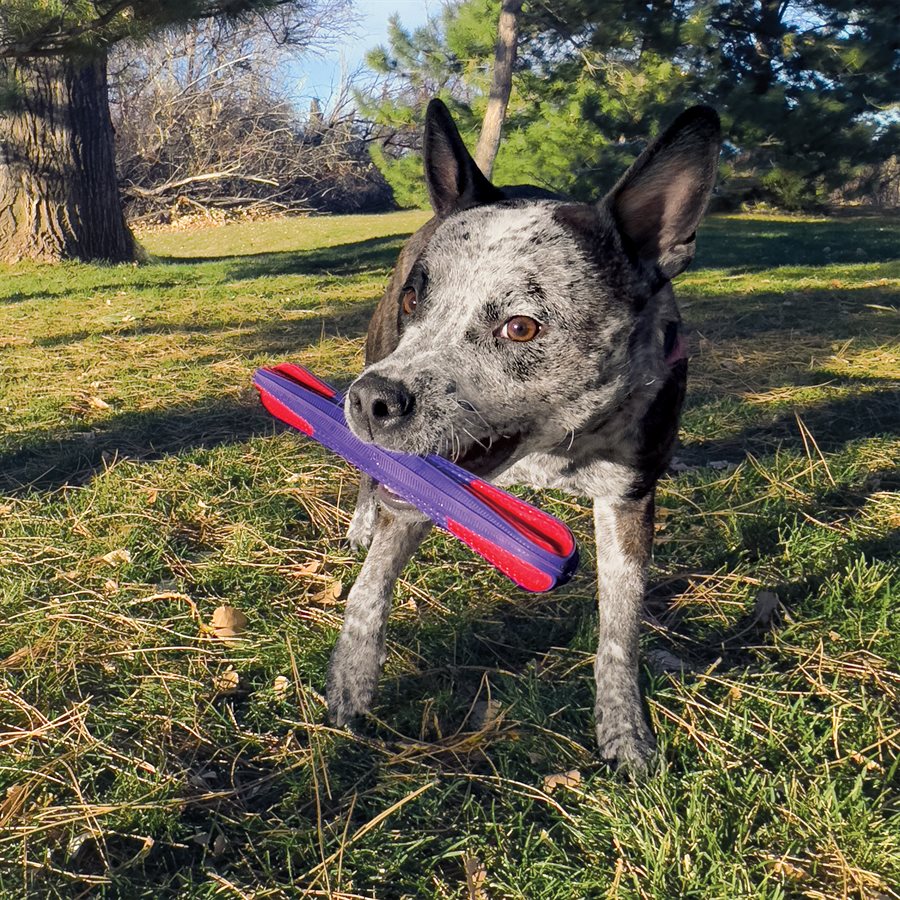 KONG Duets Duos Stick Dog Toy