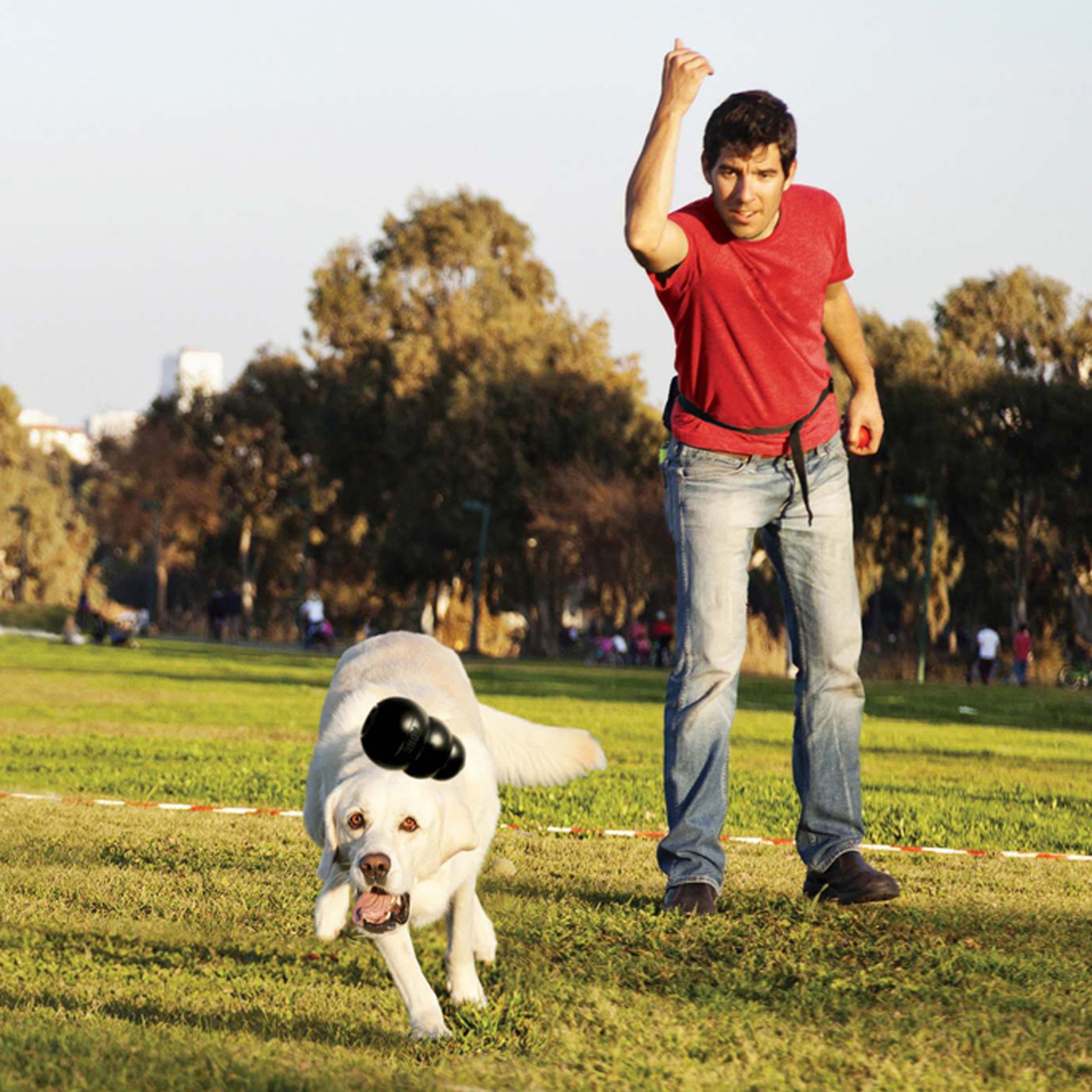 Dog playing fetch outdoors with a KONG Extreme dog toy