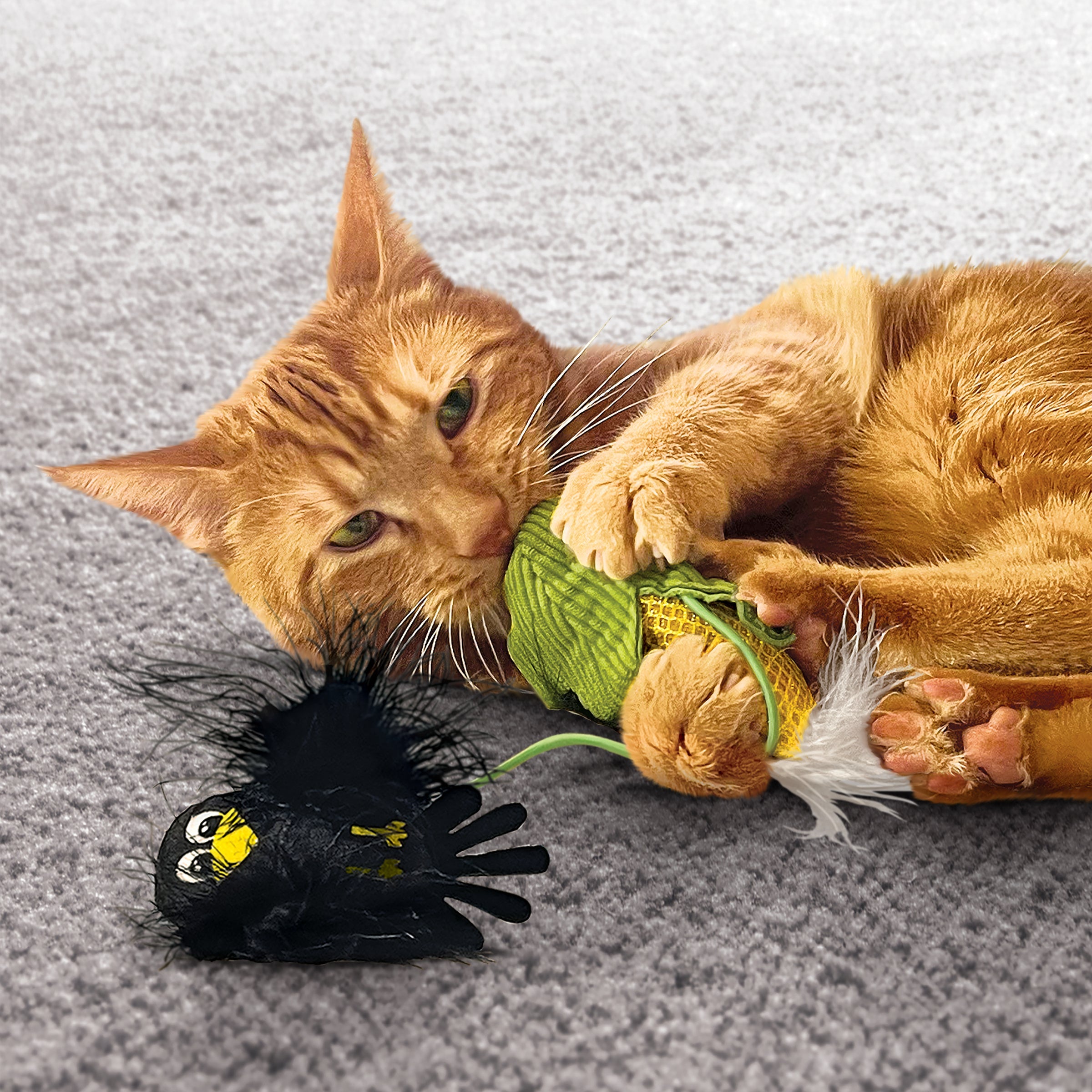 Orange cat playing with the KONG Flingaroo Corny crow and corn cob toy