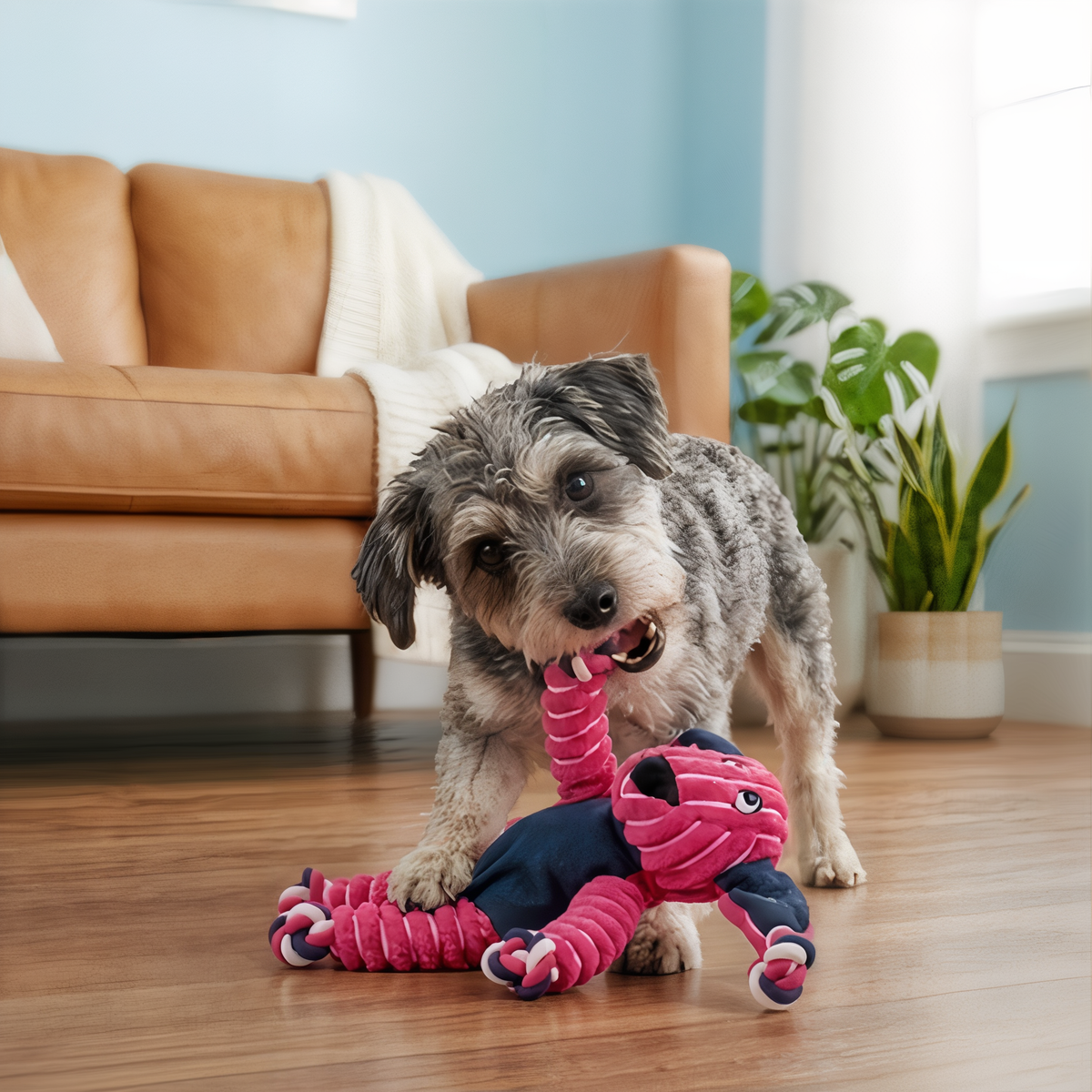 Dog chewing KONG Floppy Knots Bunny dog toy on living room floor
