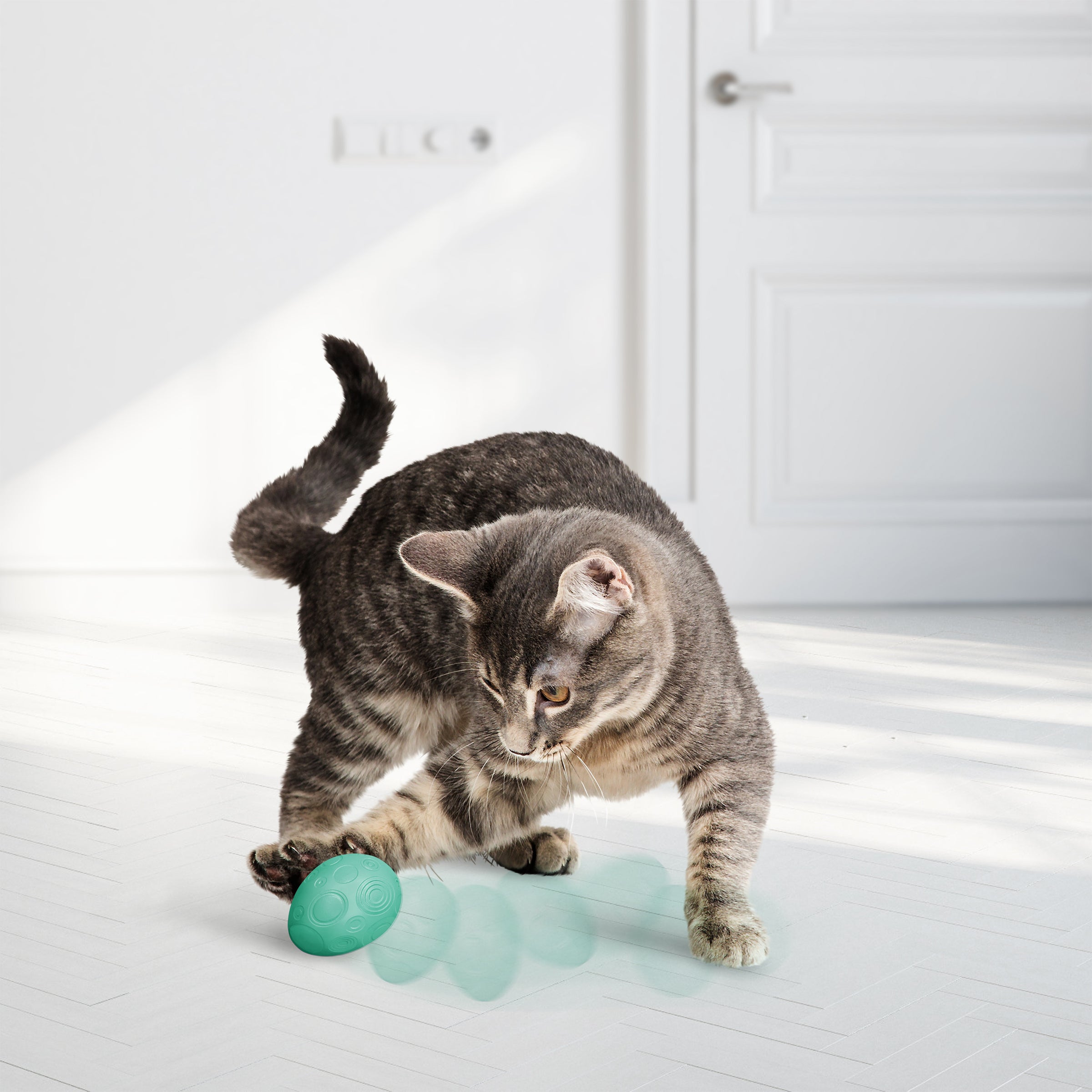 Cat batting a KONG Infused Catnip Egg across the floor